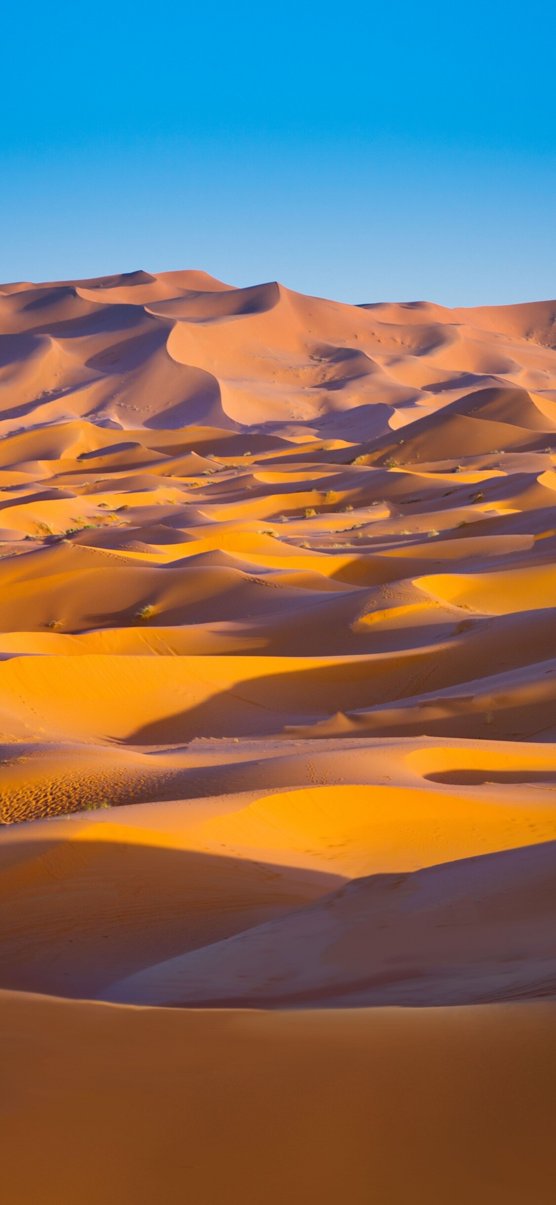 Sahara sand dunes, Clear blue sky, Golden desert landscape Sahara sand dunes, Clear blue sky, Golden desert landscape — 1125×2436 HD wallpaper