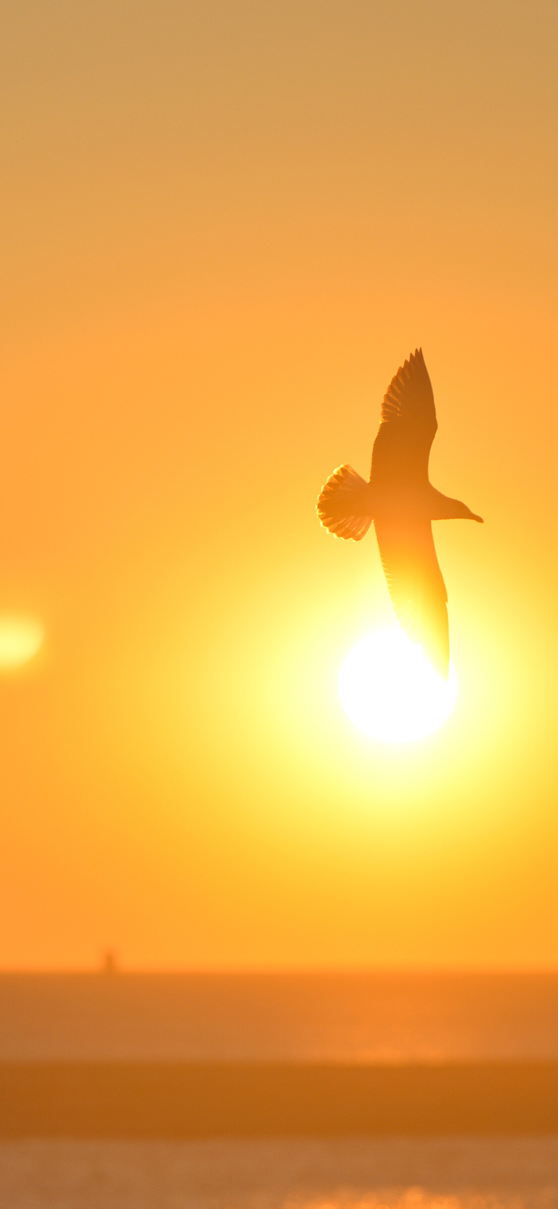 Seagull silhouette flying, Sunset over ocean, Golden orange sky — 1125×2436 mobile wallpaper