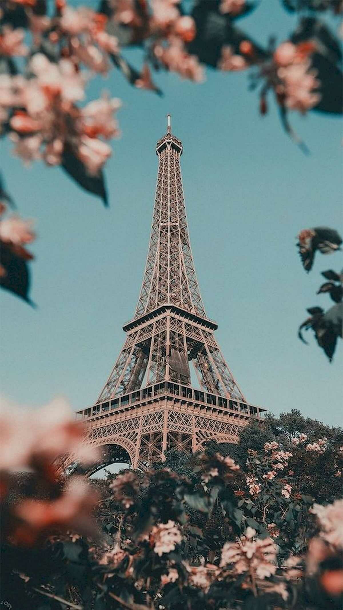 Eiffel Tower, Pink cherry blossoms, Pastel sky Eiffel Tower, Pink cherry blossoms, Pastel sky — 1200×2134 HD wallpaper
