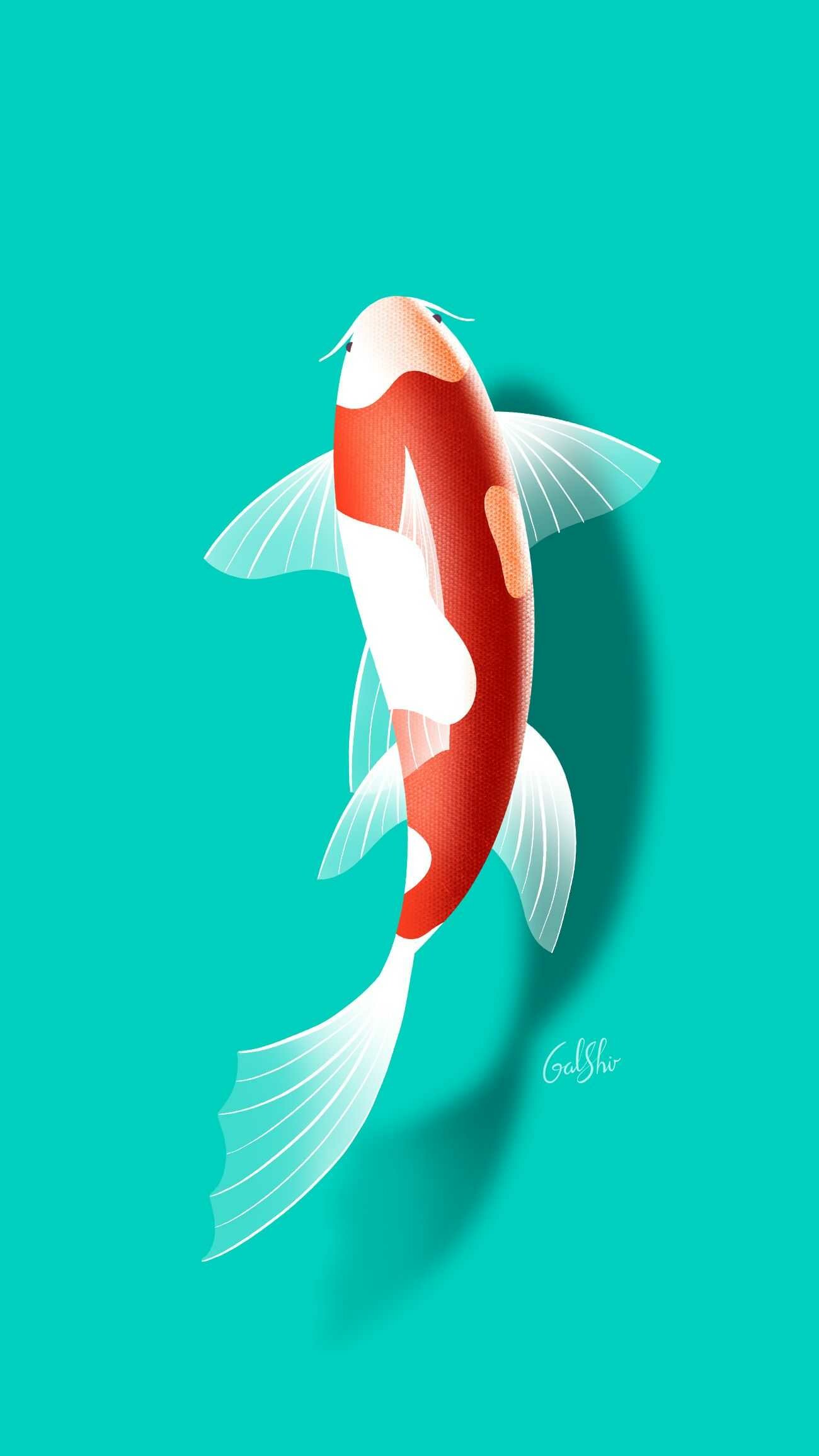 Kohaku koi fish, Red white illustration, Teal background Kohaku koi fish, Red white illustration, Teal background — 1300×2312 HD wallpaper