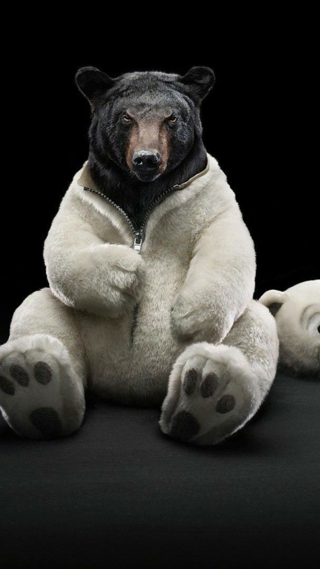 Black bear, Polar bear costume, Unzipped white suit, Black studio backdrop Black bear, Polar bear costume, Unzipped white suit, Black studio backdrop — 1242×2208 HD wallpaper