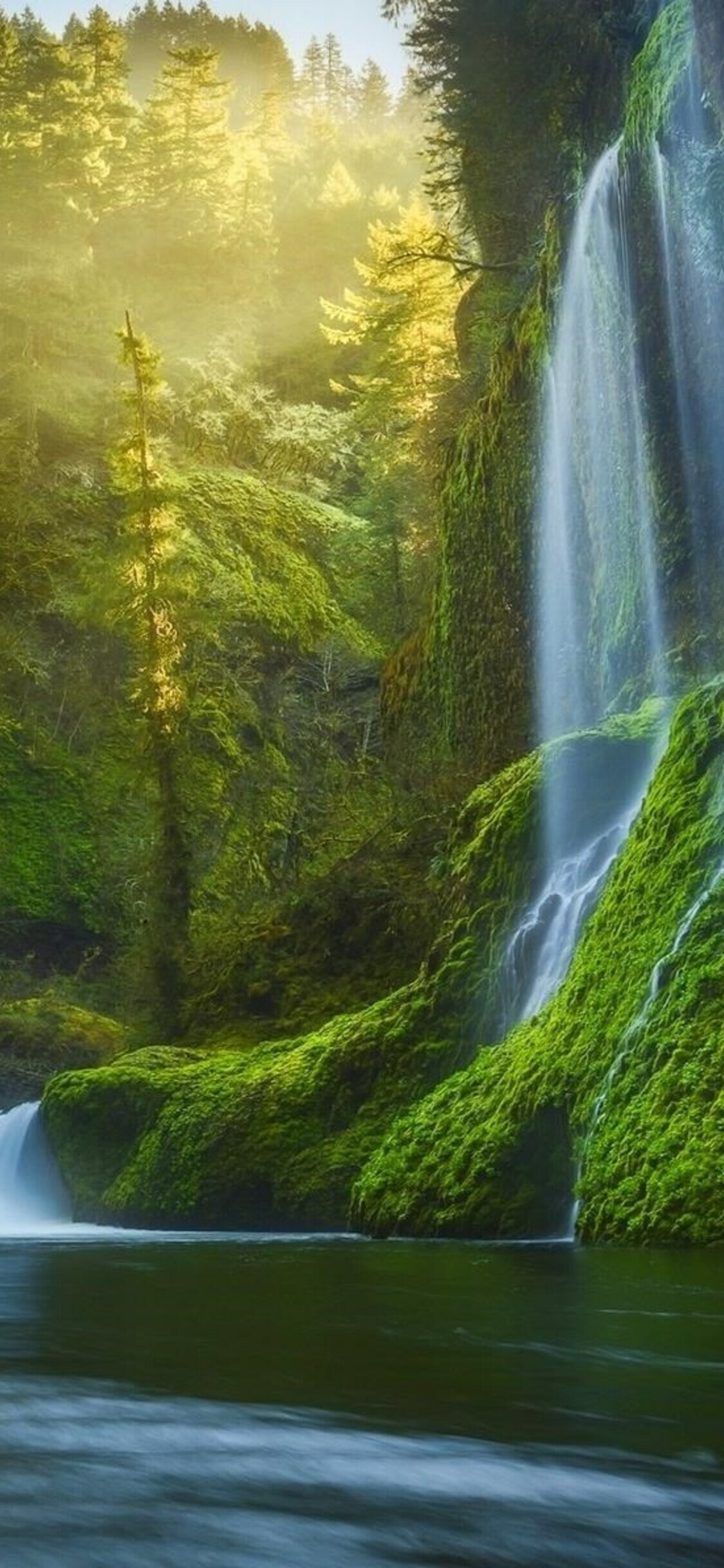 Cascading waterfall cliff, Moss-covered rocks, Misty forest sunlight Cascading waterfall cliff, Moss-covered rocks, Misty forest sunlight — 1125×2436 HD wallpaper