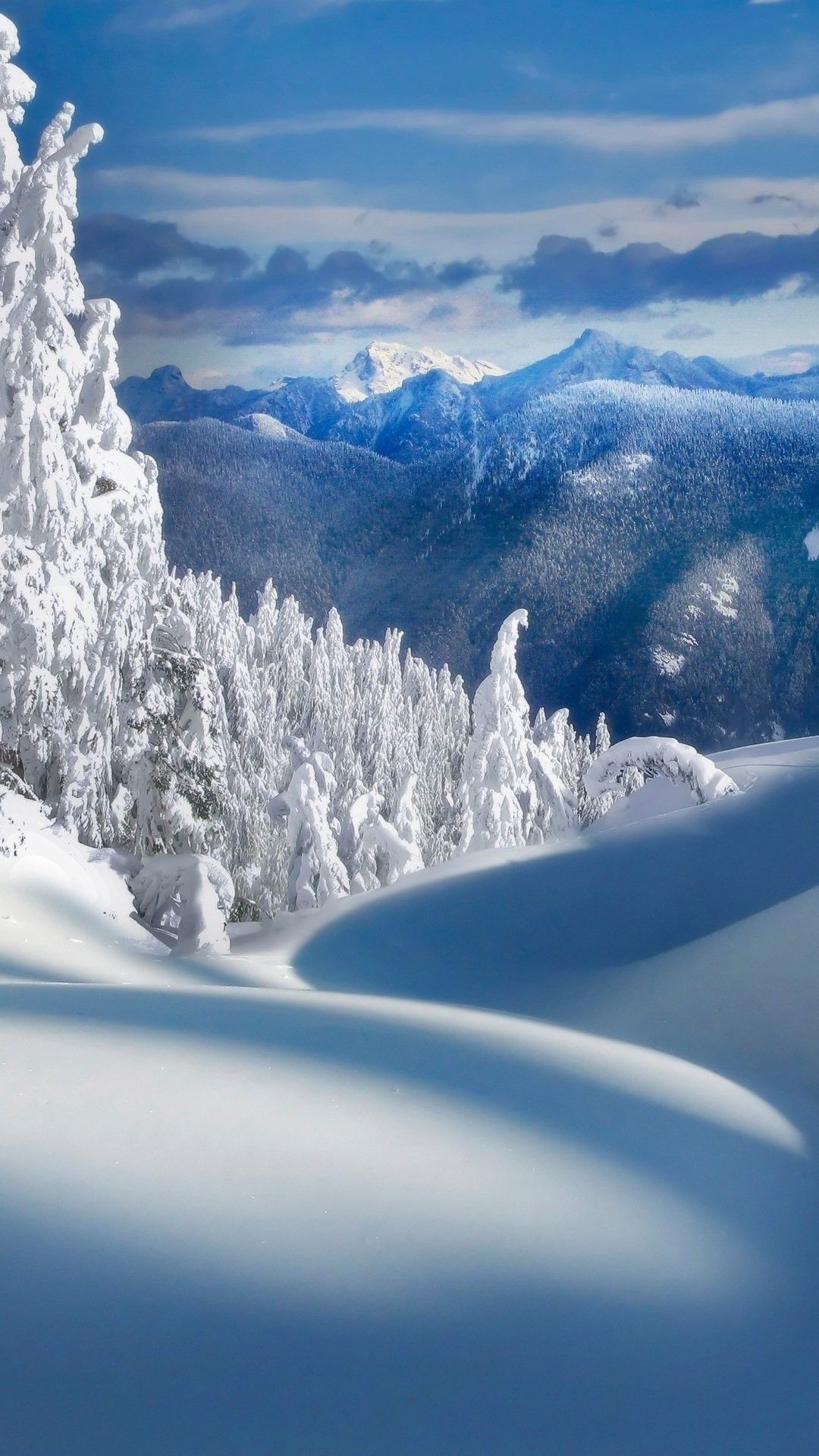 Snow-covered evergreen trees, Distant snowy mountain peak, Untouched snowdrift foreground Snow-covered evergreen trees, Distant snowy mountain peak, Untouched snowdrift foreground — 1080×1920 HD wallpaper