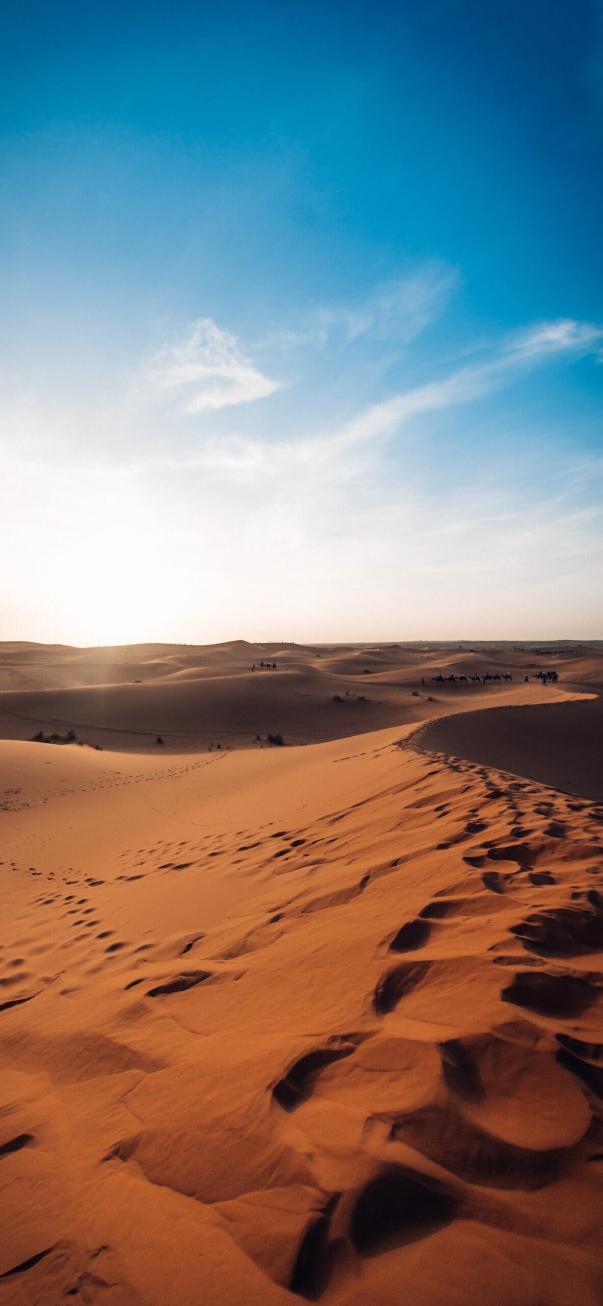 Sahara sand dunes, Footprints in sand, Sunrise blue sky Sahara sand dunes, Footprints in sand, Sunrise blue sky — 1183×2560 HD wallpaper