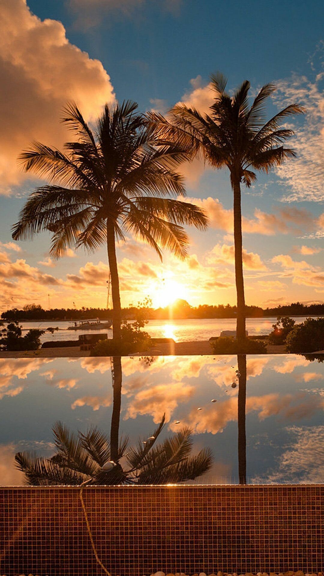 Silhouetted palm trees, Infinity pool reflection, Golden tropical sunrise Silhouetted palm trees, Infinity pool reflection, Golden tropical sunrise — 1080×1920 HD wallpaper