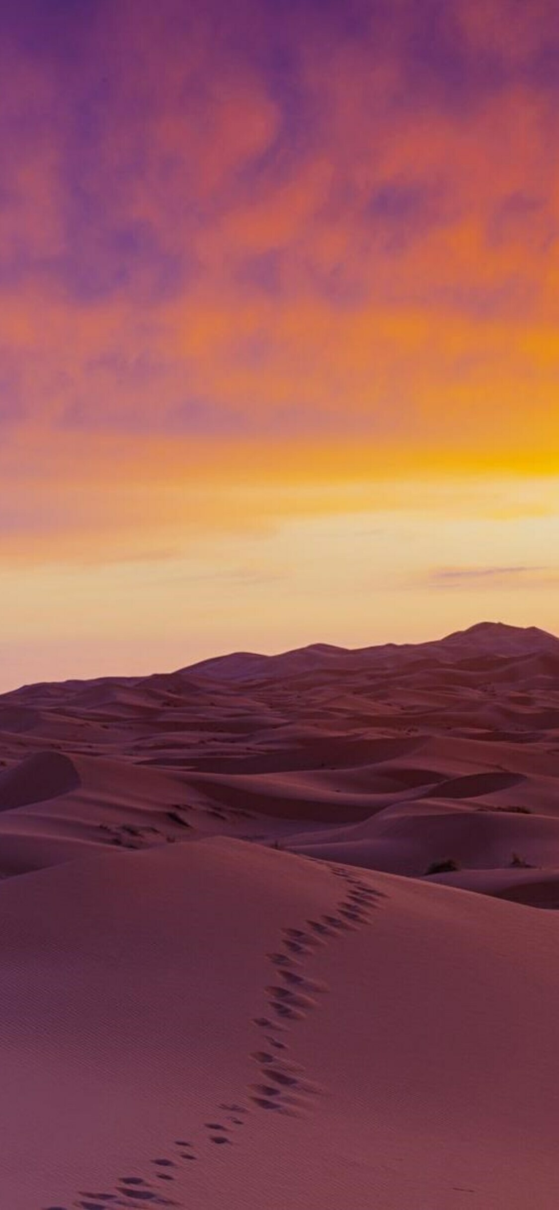 Sahara sand dunes, Footprints trail, Purple sunset sky Sahara sand dunes, Footprints trail, Purple sunset sky — 1125×2436 HD wallpaper