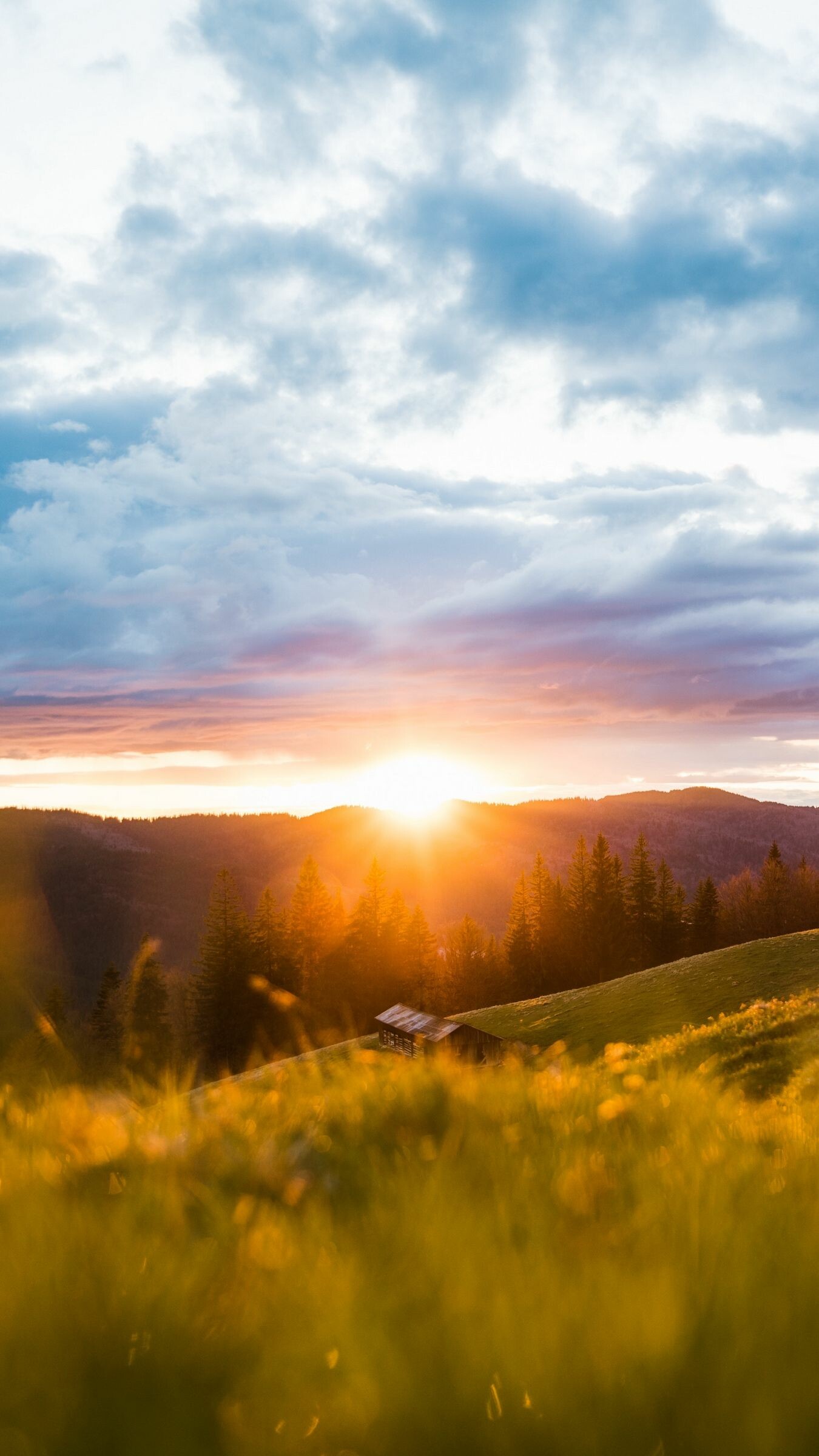Sunset over forested mountains, Wooden hillside cabin, Golden wildflower meadow Sunset over forested mountains, Wooden hillside cabin, Golden wildflower meadow — 1350×2400 HD wallpaper