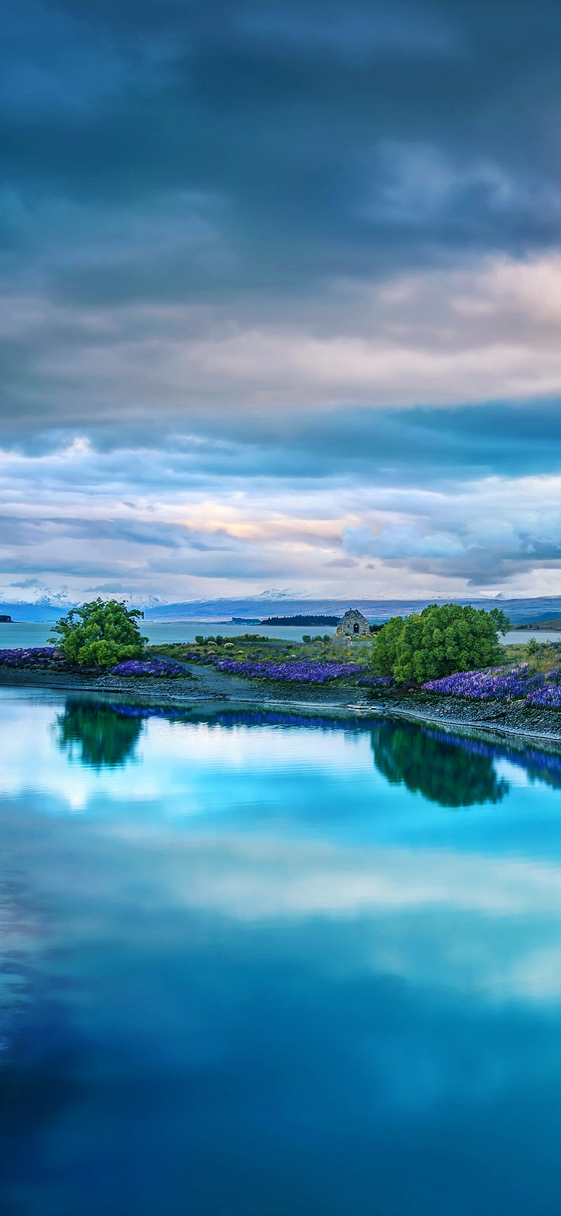 Lake Tekapo New Zealand, Lupine flowers shoreline, Turquoise water reflection Lake Tekapo New Zealand, Lupine flowers shoreline, Turquoise water reflection — 1125×2436 HD wallpaper