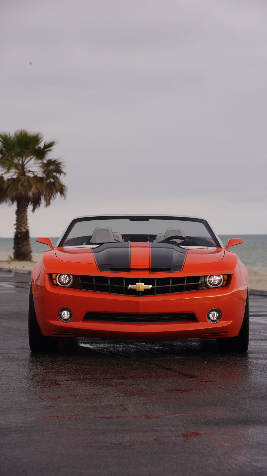Orange Chevrolet Camaro convertible, Palm tree beachside, Overcast coastal road — 1080×1920 HD wallpaper