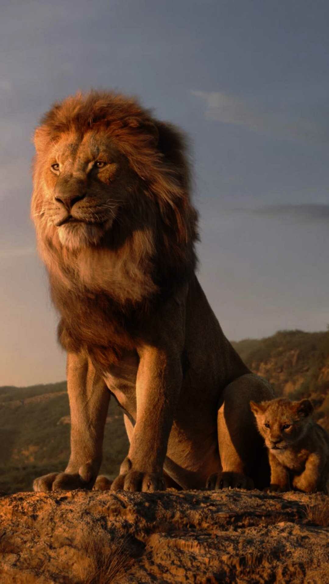 The Lion King, Mufasa and Simba, Savanna rock ledge, Golden sunset light The Lion King, Mufasa and Simba, Savanna rock ledge, Golden sunset light — 1080×1920 HD wallpaper