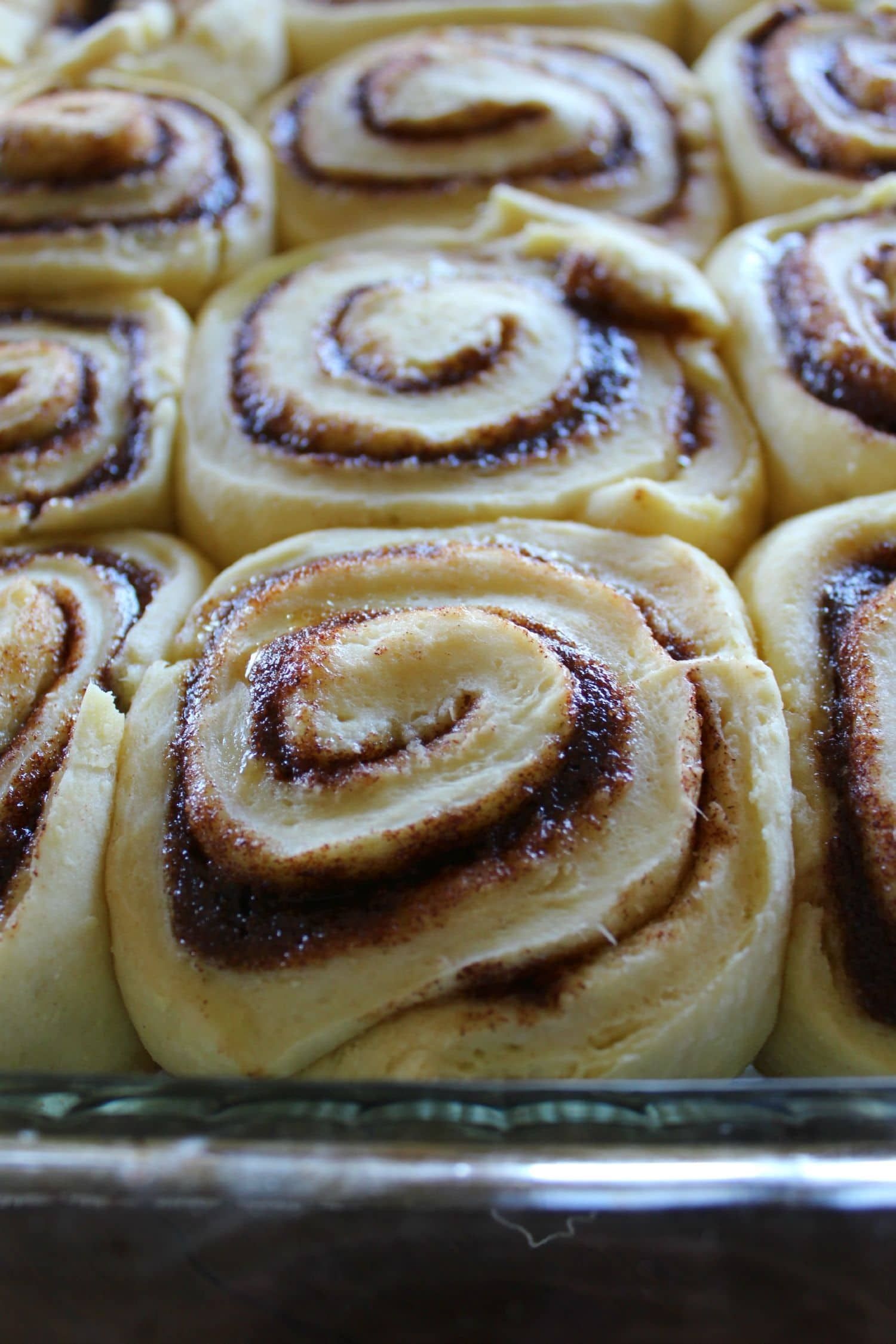 Cinnamon rolls Cinnamon rolls — 1500×2250 HD wallpaper
