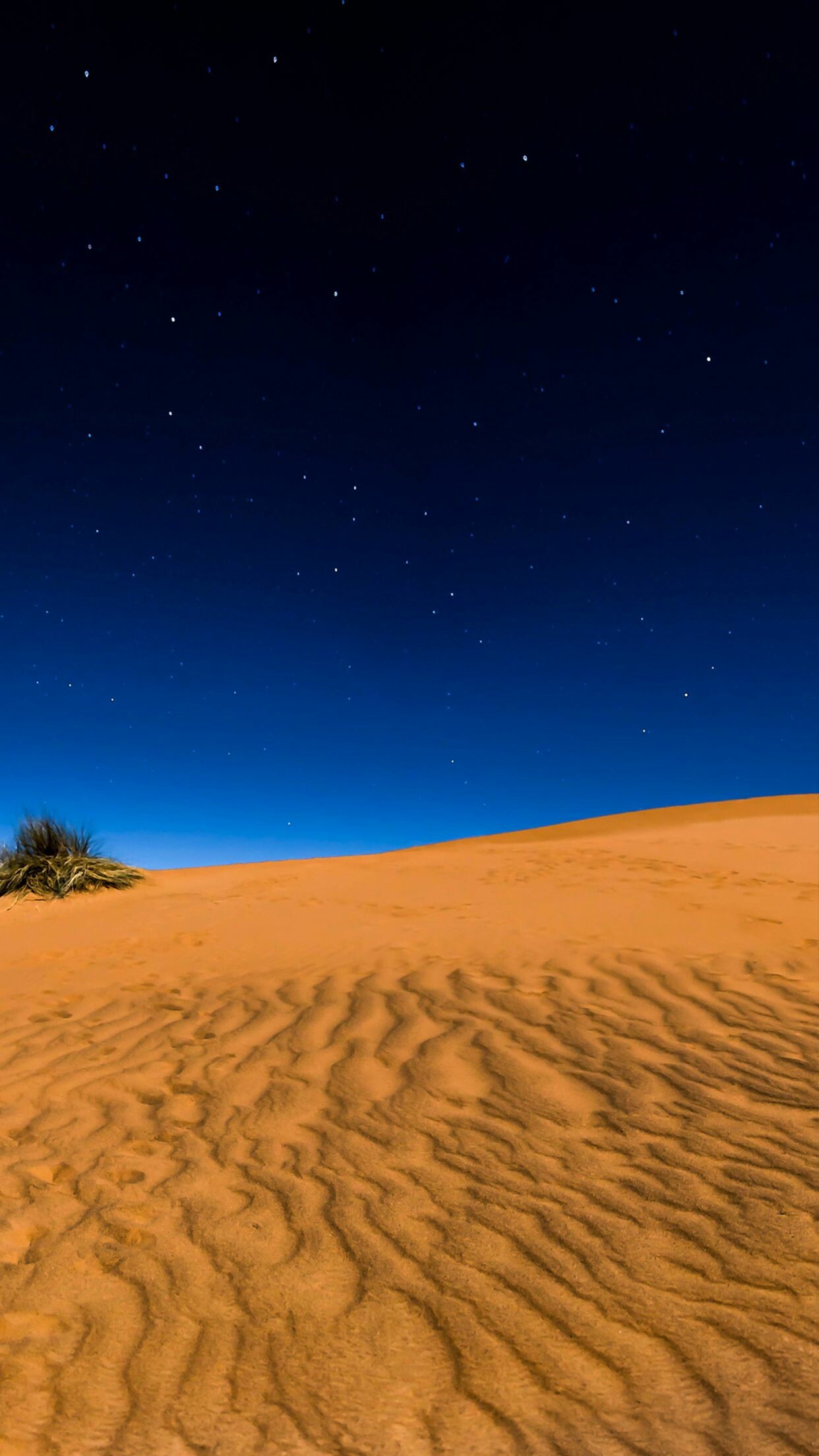 Rippled orange sand dune, Starry night sky, Lone desert shrub Rippled orange sand dune, Starry night sky, Lone desert shrub — 1242×2208 HD wallpaper