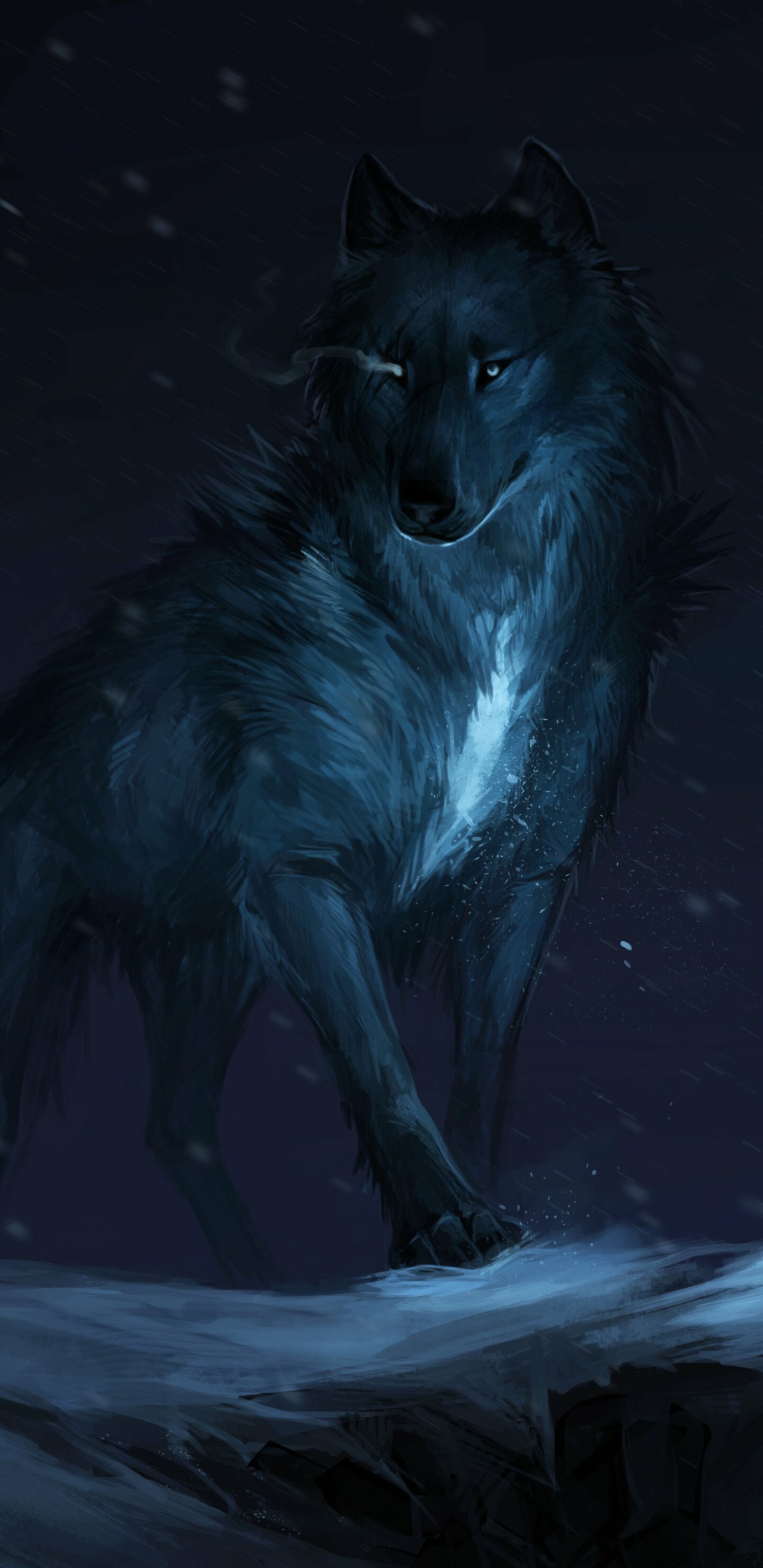 Wolves — 1440×2960 HD wallpaper