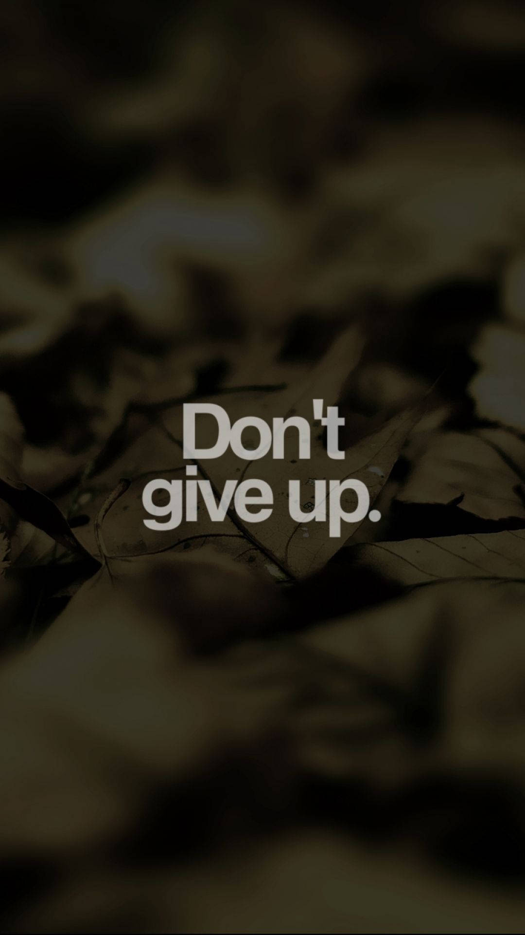 Don't Give Up, Blurred fallen autumn leaves, Sans-serif overlay Don't Give Up, Blurred fallen autumn leaves, Sans-serif overlay — 1080×1920 HD wallpaper