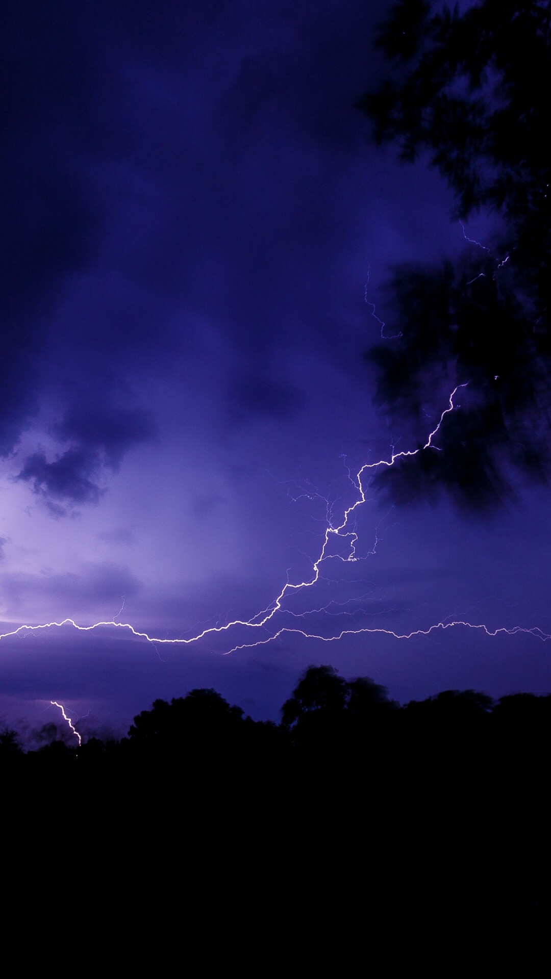 Forked lightning bolt, Purple stormy sky, Silhouetted tree line Forked lightning bolt, Purple stormy sky, Silhouetted tree line — 1080×1920 HD wallpaper