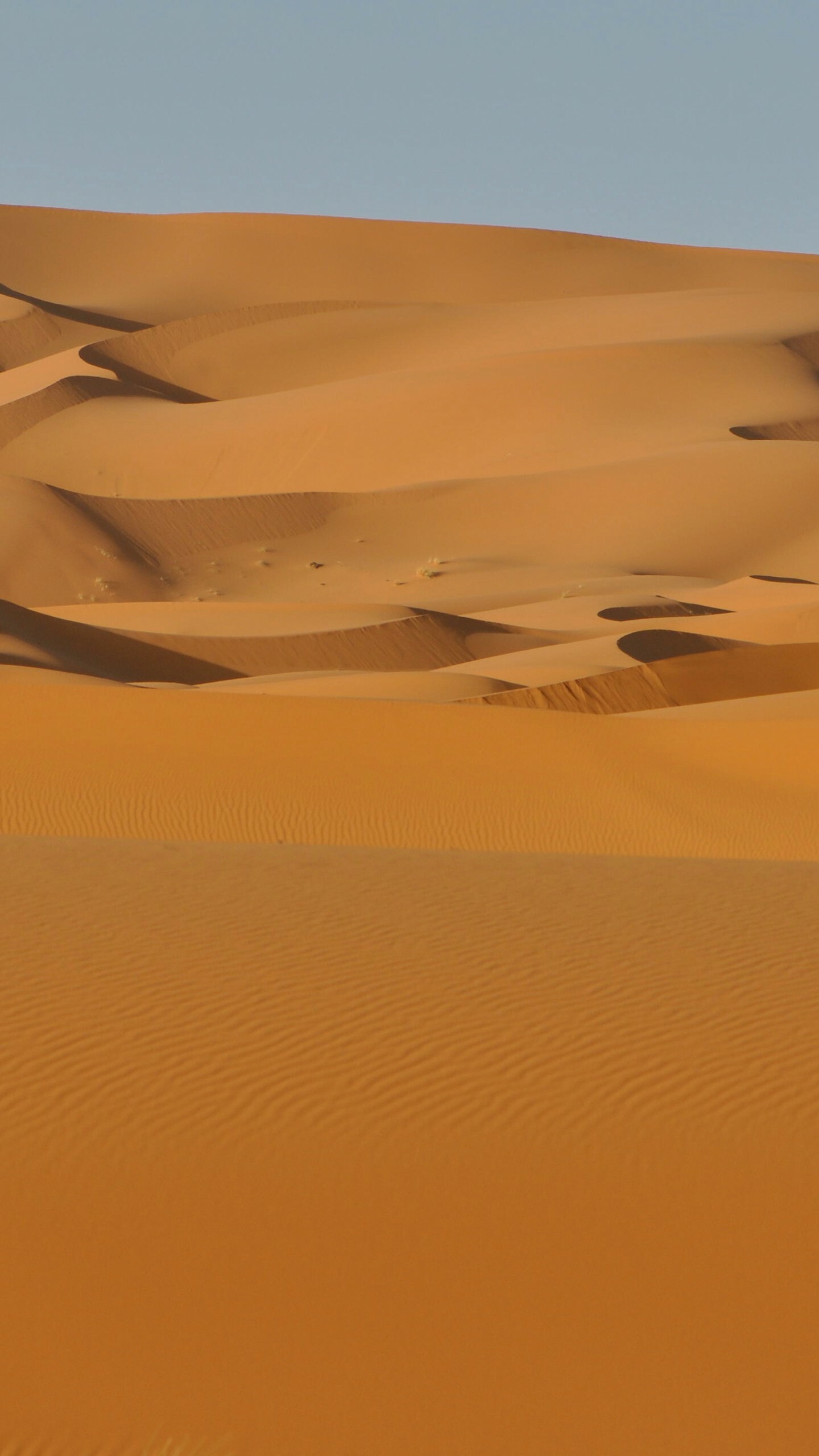 Sahara sand dunes, Rippled orange sand, Clear pale sky Sahara sand dunes, Rippled orange sand, Clear pale sky — 1440×2560 HD wallpaper