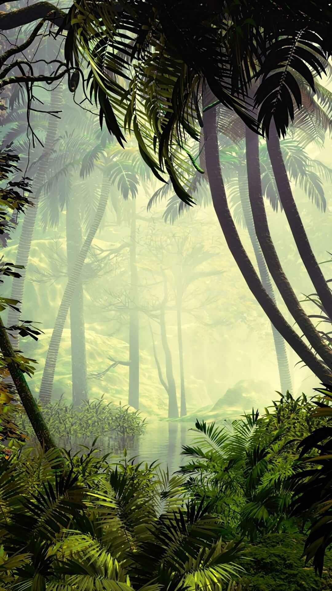 Misty jungle river, Tall palm trees, Dense tropical foliage Misty jungle river, Tall palm trees, Dense tropical foliage — 1080×1920 HD wallpaper