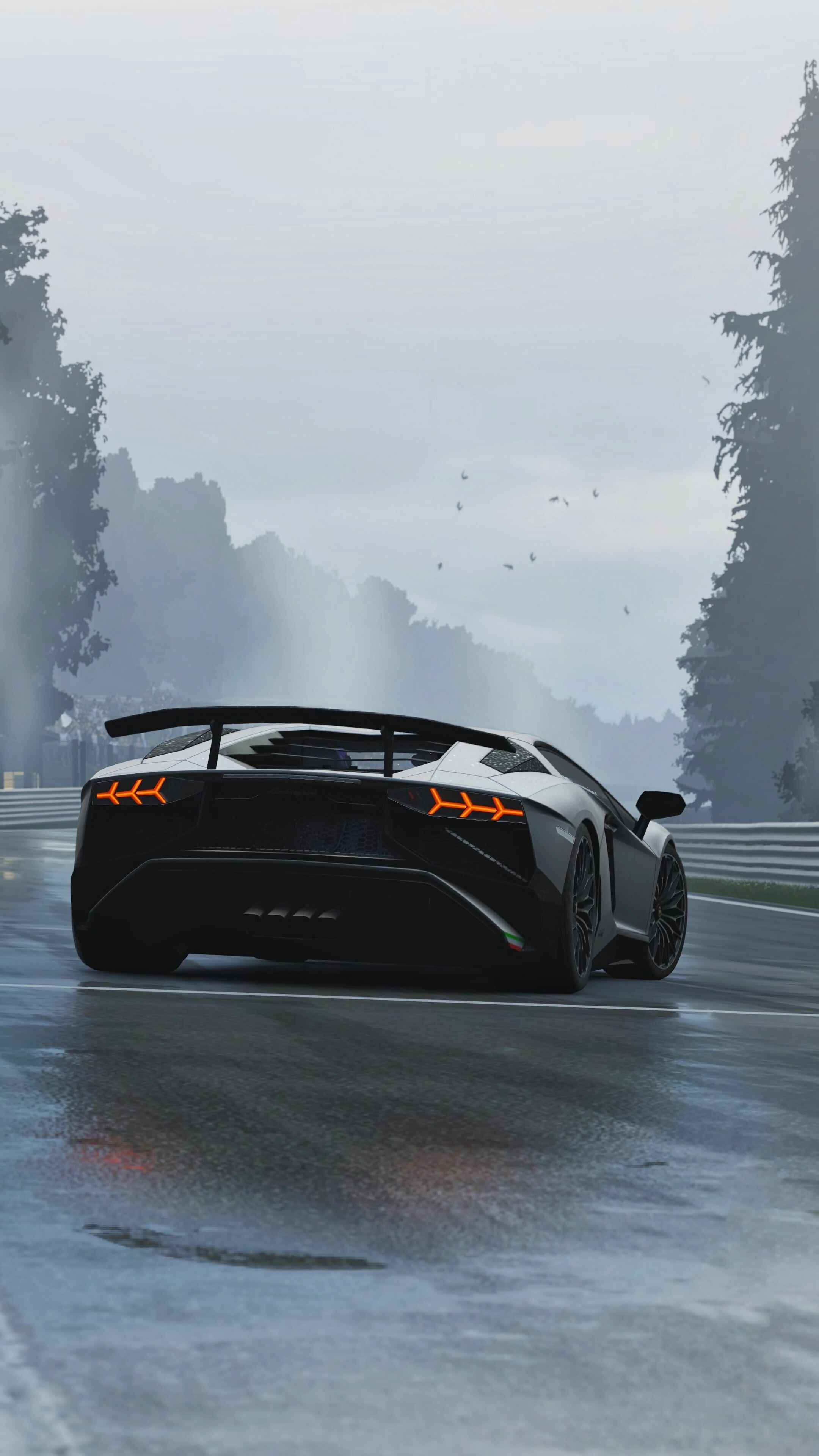 Black Aventador SV rear, Y-shaped taillights, Wet misty road Black Aventador SV rear, Y-shaped taillights, Wet misty road — 2160×3840 HD wallpaper
