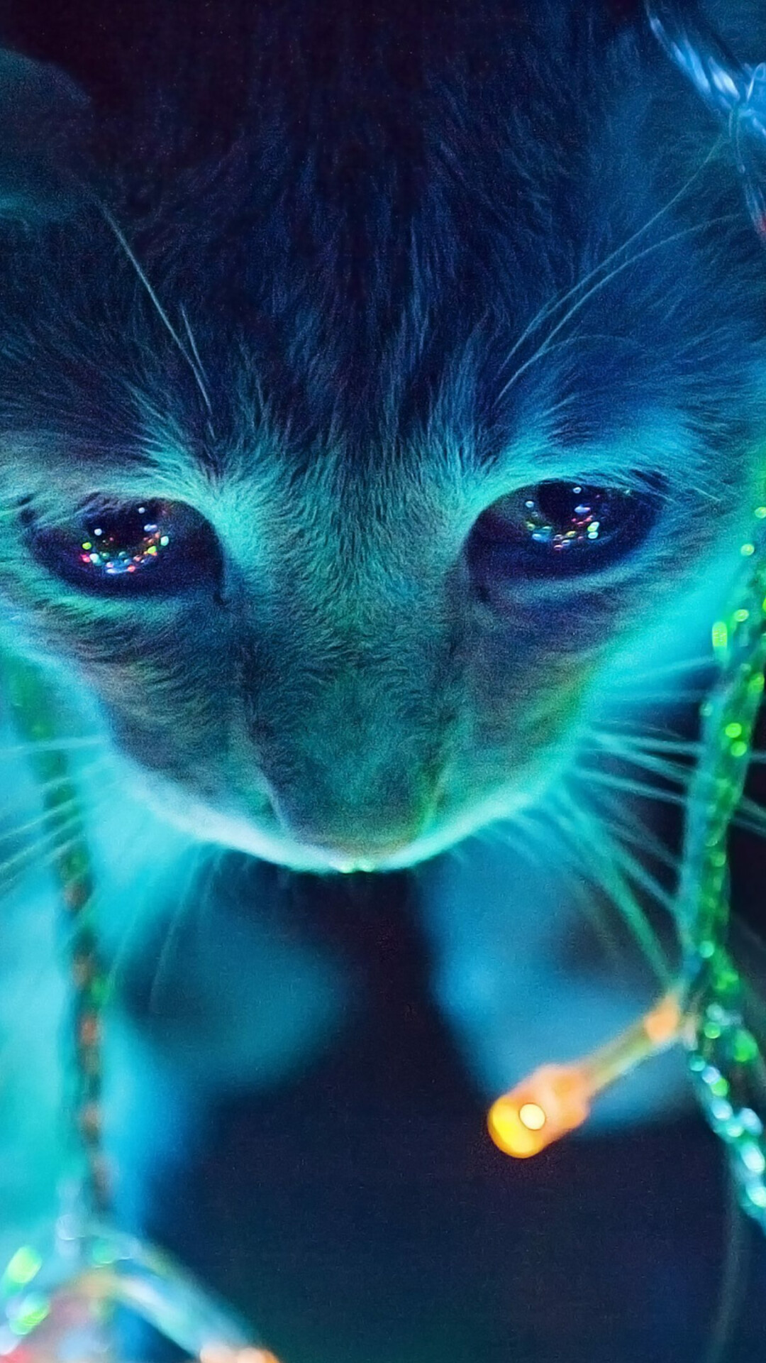 Cat with string lights, Blue teal glow, Glowing fairy lights Cat with string lights, Blue teal glow, Glowing fairy lights — 1080×1920 HD wallpaper