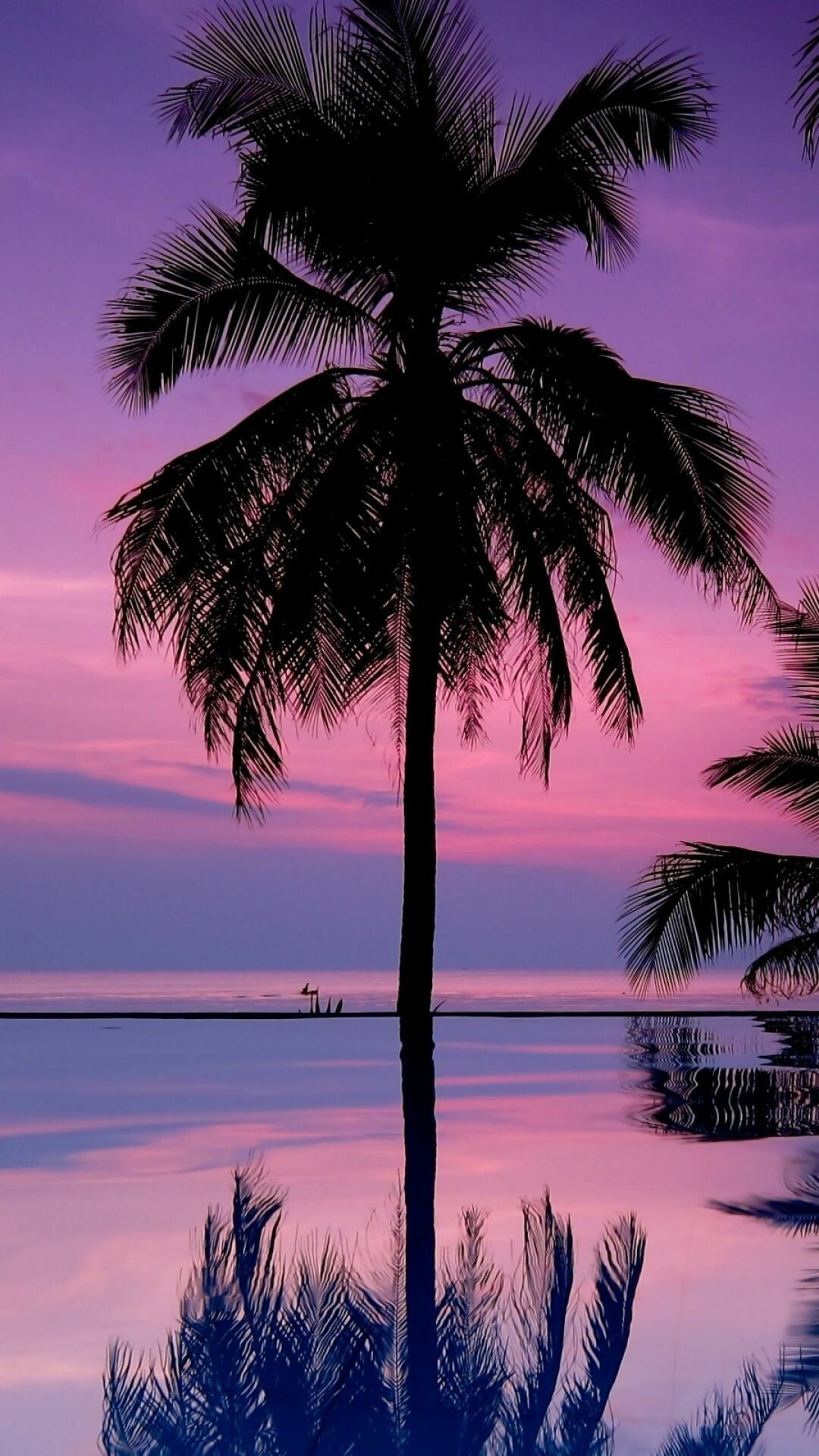 Silhouetted coconut palm, Purple pink sunset sky, Infinity pool reflection Silhouetted coconut palm, Purple pink sunset sky, Infinity pool reflection — 1080×1920 HD wallpaper