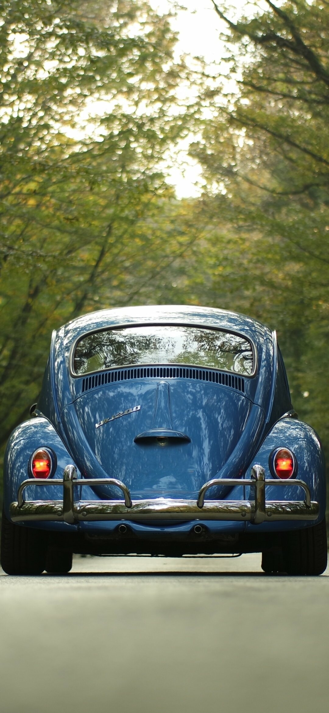 Beetle, Volkswagen Wallpaper, HD Phone Beetle, Volkswagen Wallpaper, HD Phone — 1080×2340 HD wallpaper