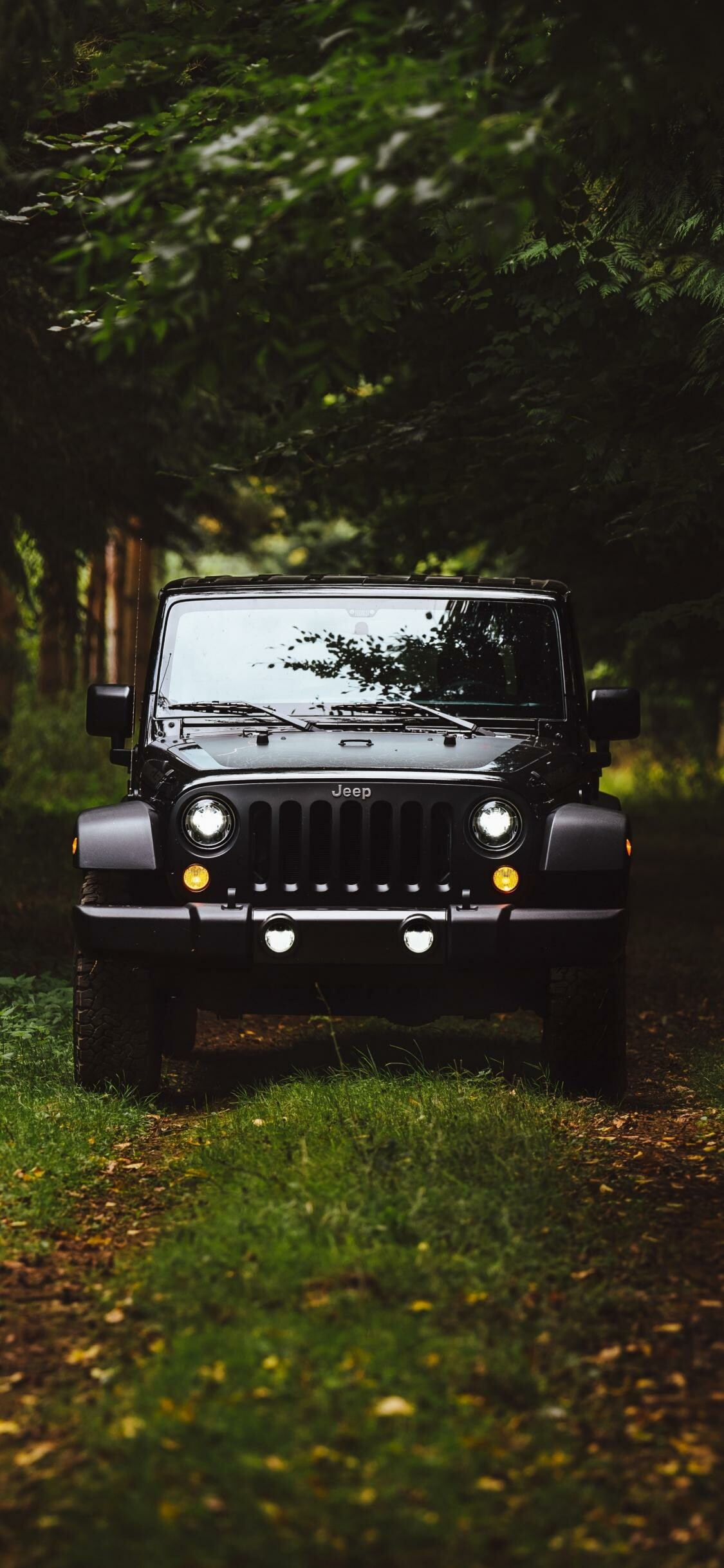 Jeep Wrangler, Forest trail, Black SUV Jeep Wrangler, Forest trail, Black SUV — 1125×2436 HD wallpaper