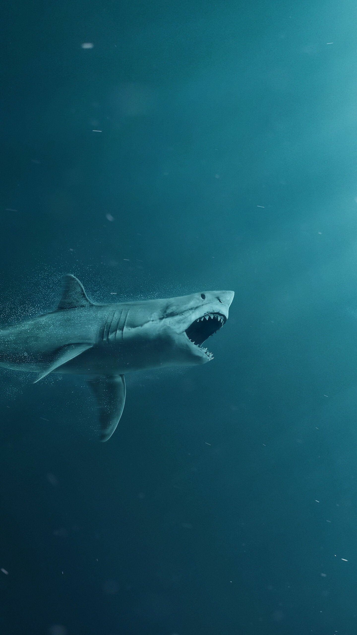 Great white shark, Open jaws teeth, Deep blue underwater Great white shark, Open jaws teeth, Deep blue underwater — 1440×2560 HD wallpaper