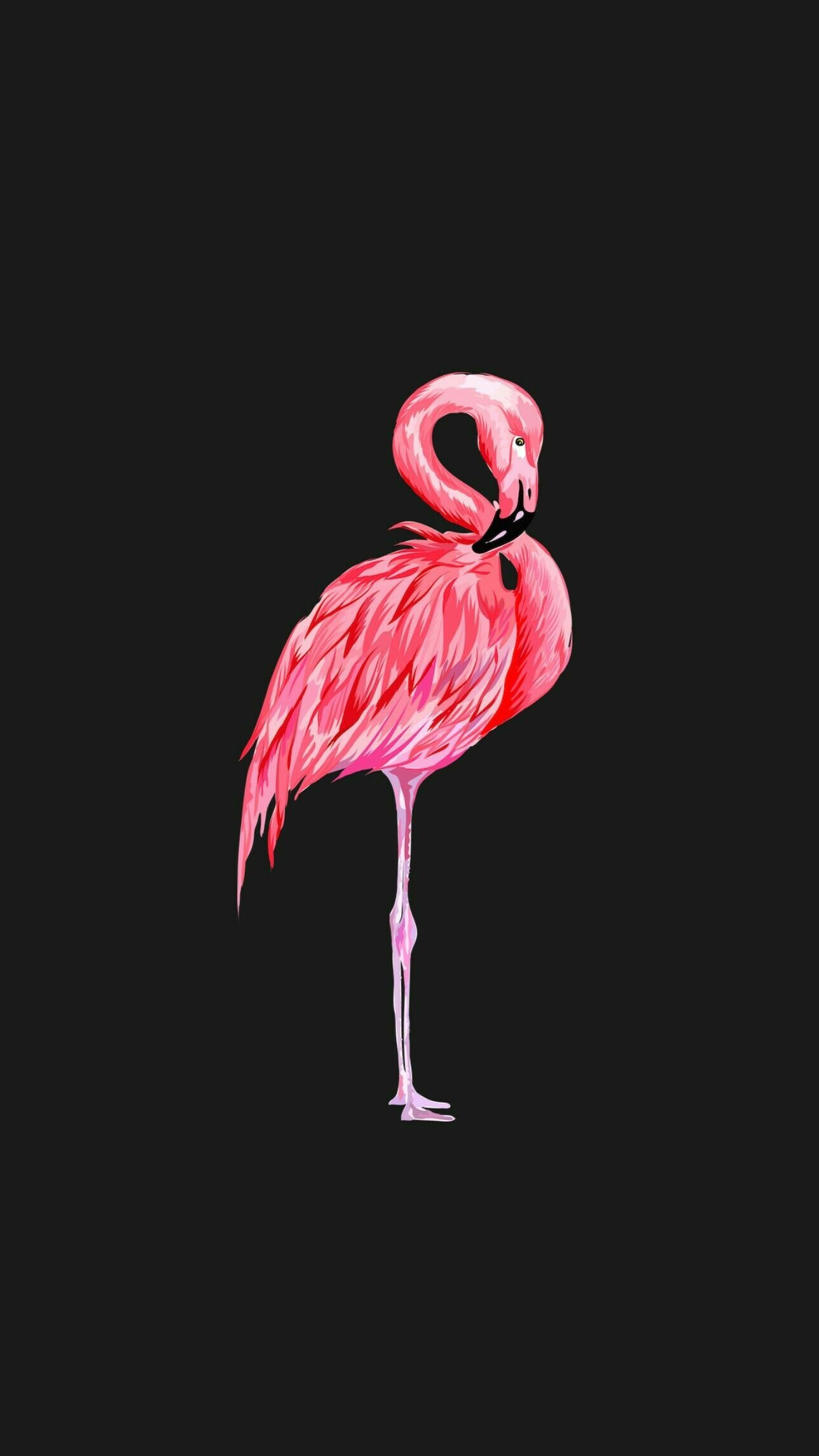Pink flamingo illustration, One-legged standing pose, Black minimalist backdrop Pink flamingo illustration, One-legged standing pose, Black minimalist backdrop — 1288×2289 HD wallpaper
