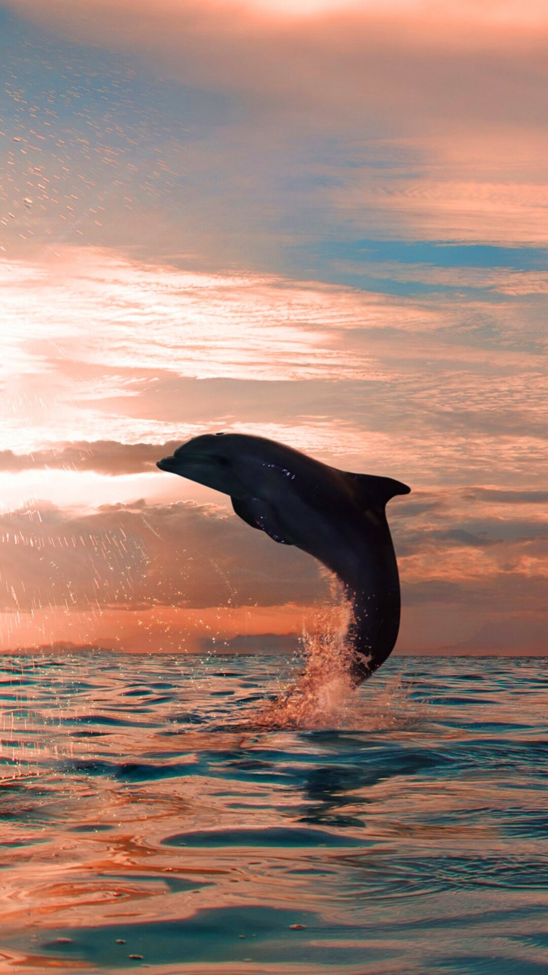 Leaping bottlenose dolphin, Sunset ocean horizon, Water splash spray Leaping bottlenose dolphin, Sunset ocean horizon, Water splash spray — 1080×1920 HD wallpaper