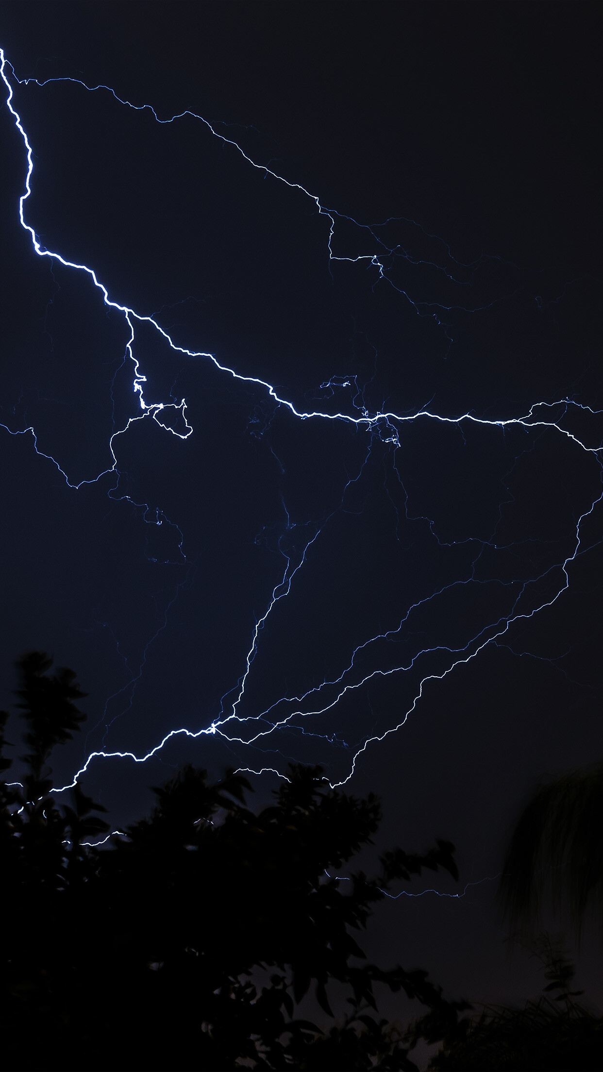 Branching lightning bolts, Silhouetted tree tops, Dark night sky Branching lightning bolts, Silhouetted tree tops, Dark night sky — 1242×2208 HD wallpaper