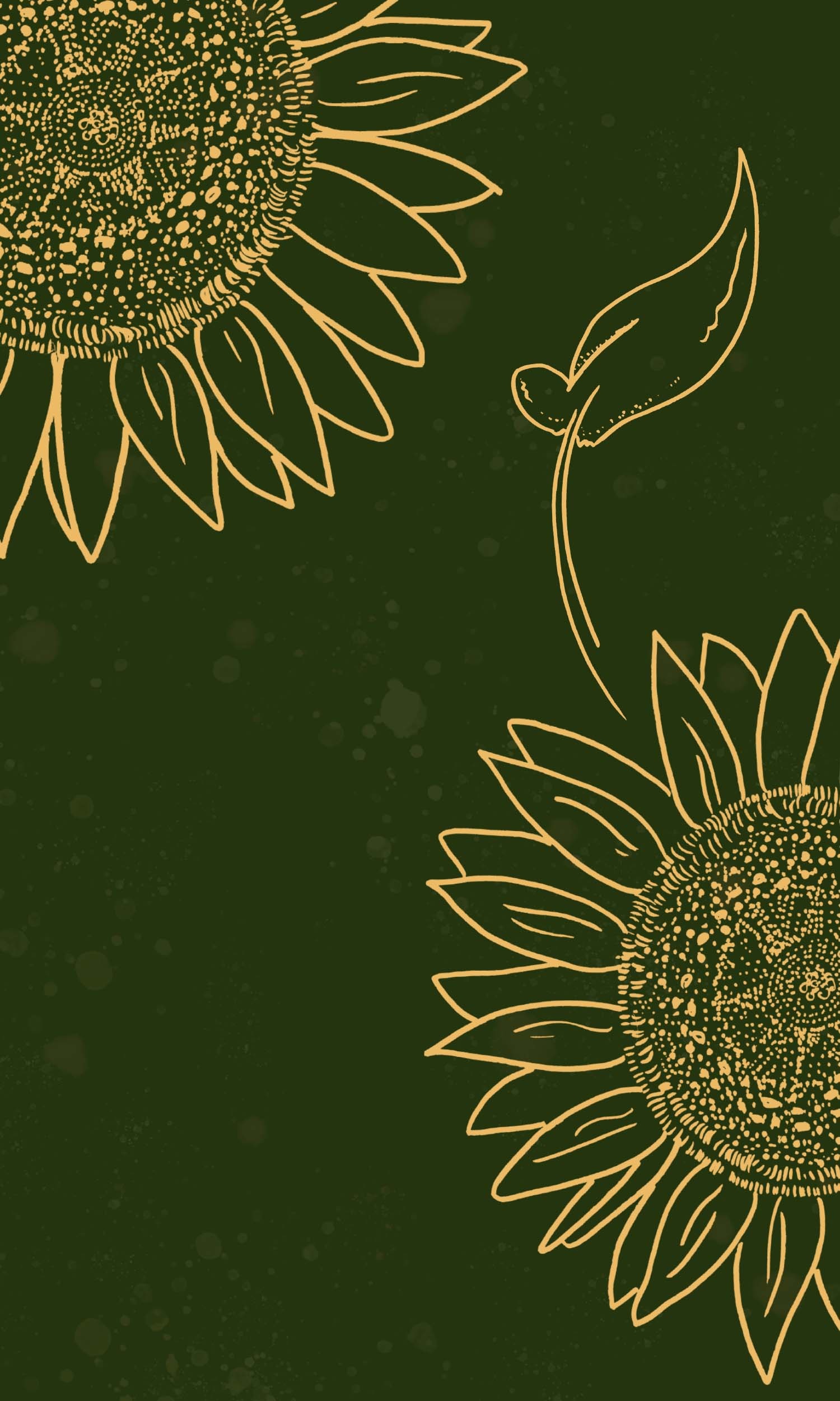Sunflowers, For iPhone Wallpaper, HD Phone Sunflowers, For iPhone Wallpaper, HD Phone — 1500×2500 HD wallpaper