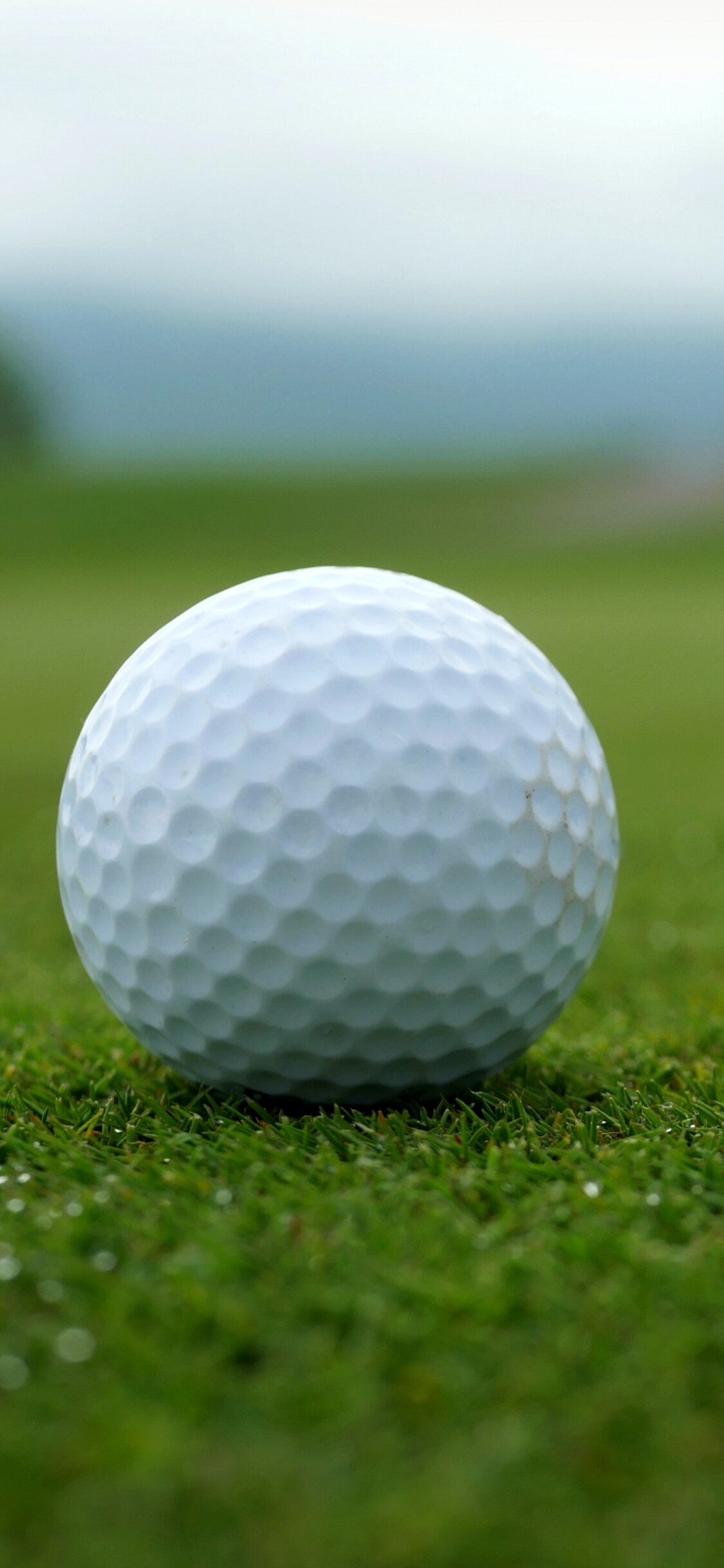Dimpled white golf ball, Manicured fairway grass, Misty distant horizon Dimpled white golf ball, Manicured fairway grass, Misty distant horizon — 1125×2436 HD wallpaper