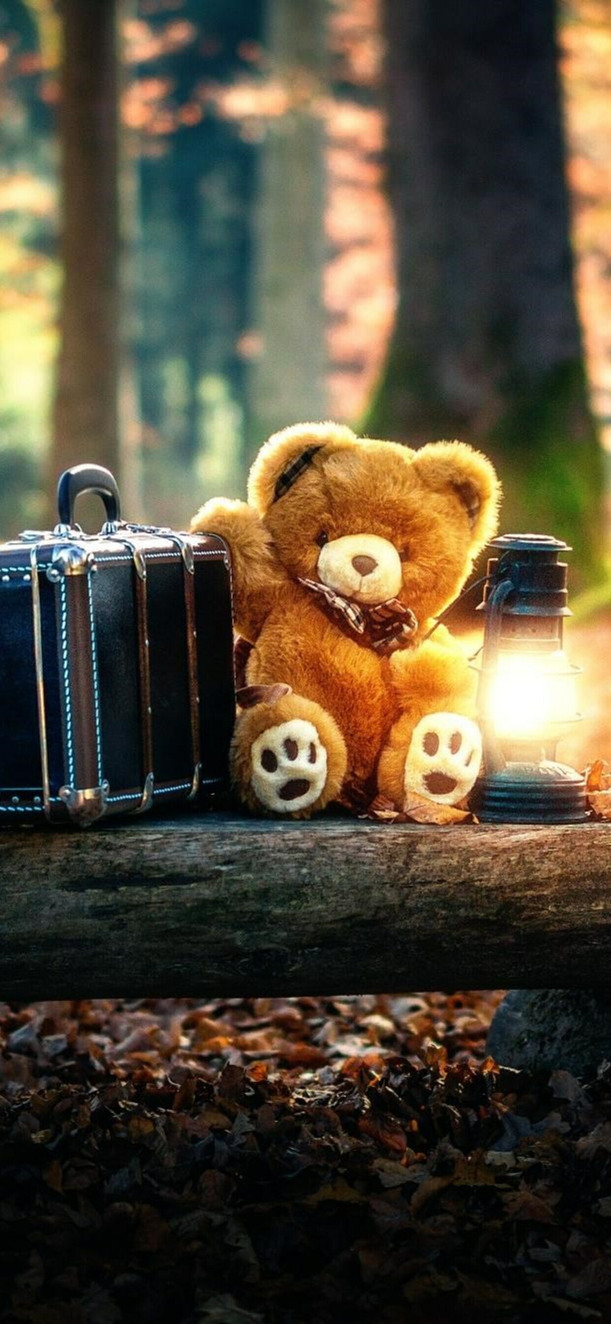 Teddy bear, Bears Wallpaper, HD Phone — 1242×2688 HD wallpaper