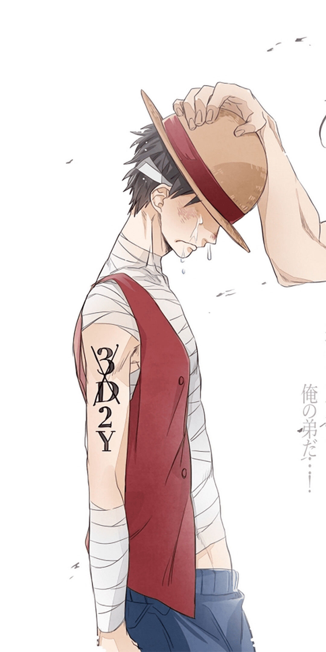 Luffy crying for Ace, 3D2Y arm tattoo, Post-Marineford bandages — 1080×2160 HD wallpaper