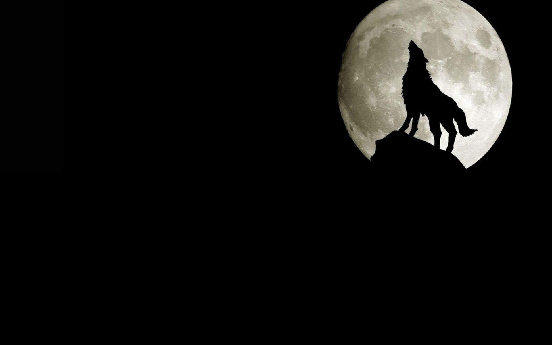 Howling wolf silhouette, Full moon, Rocky cliff peak — 1920×1200 HD wallpaper