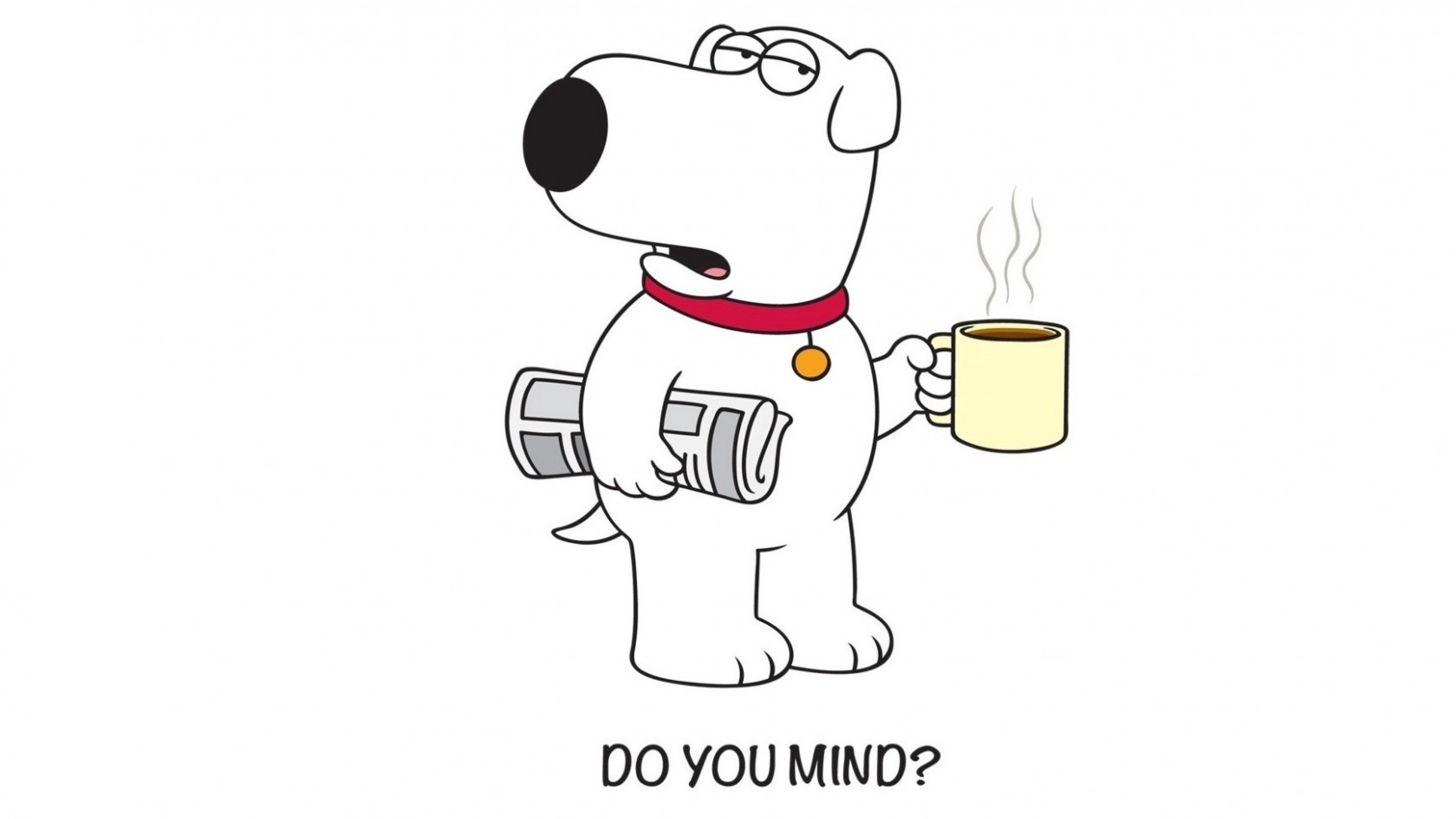 Brian Griffin, Rolled newspaper and coffee mug, DO YOU MIND? — 3840×2160 HD wallpaper