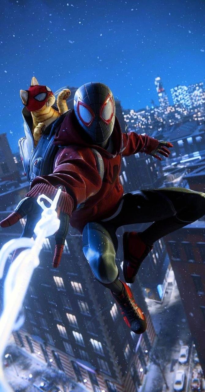 Spiderman City Night Feline HD Spiderman City Night Feline HD — 670×1280 HD wallpaper