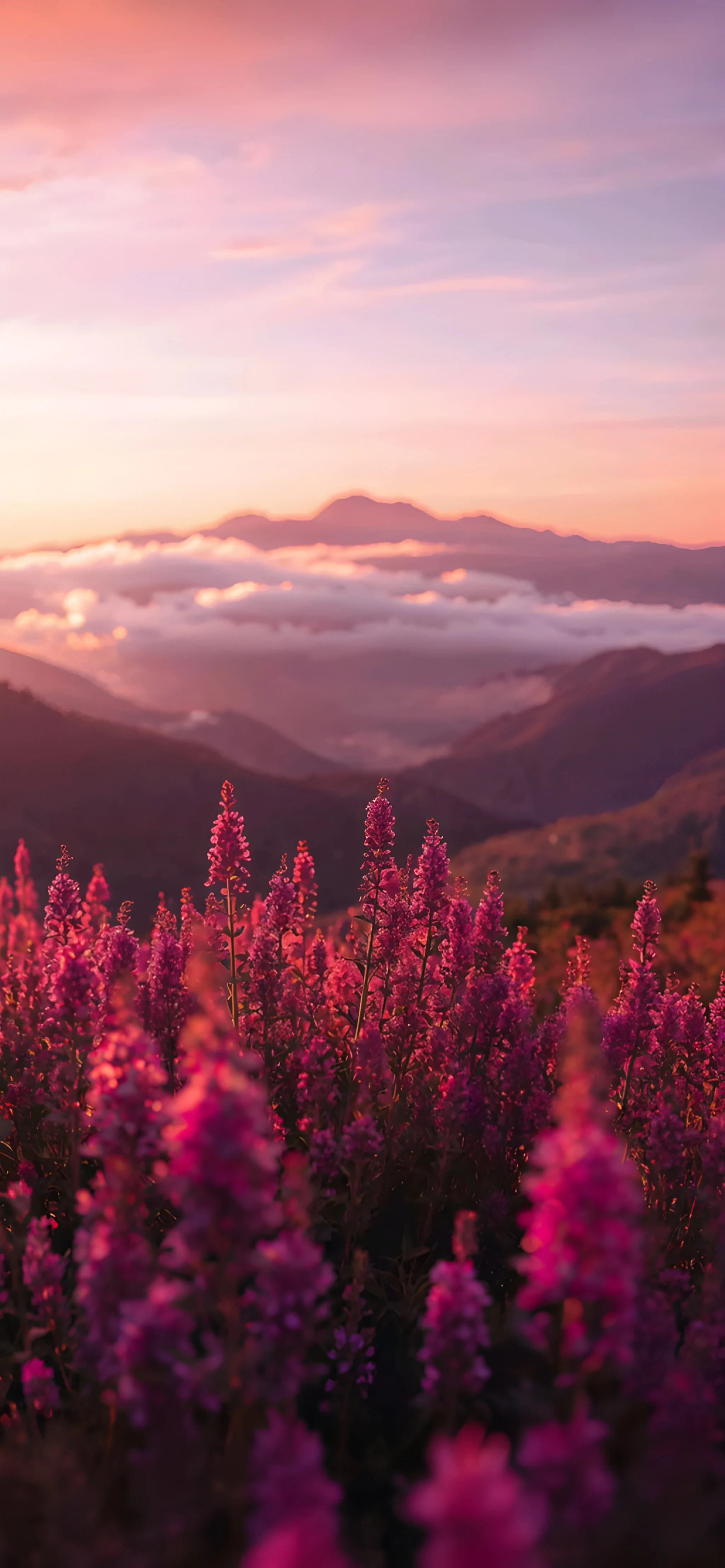 3D Lavender Field Landscape Depth Effect Wallpapers 3D Lavender Field Landscape Depth Effect Wallpapers — 2048×4428 HD wallpaper