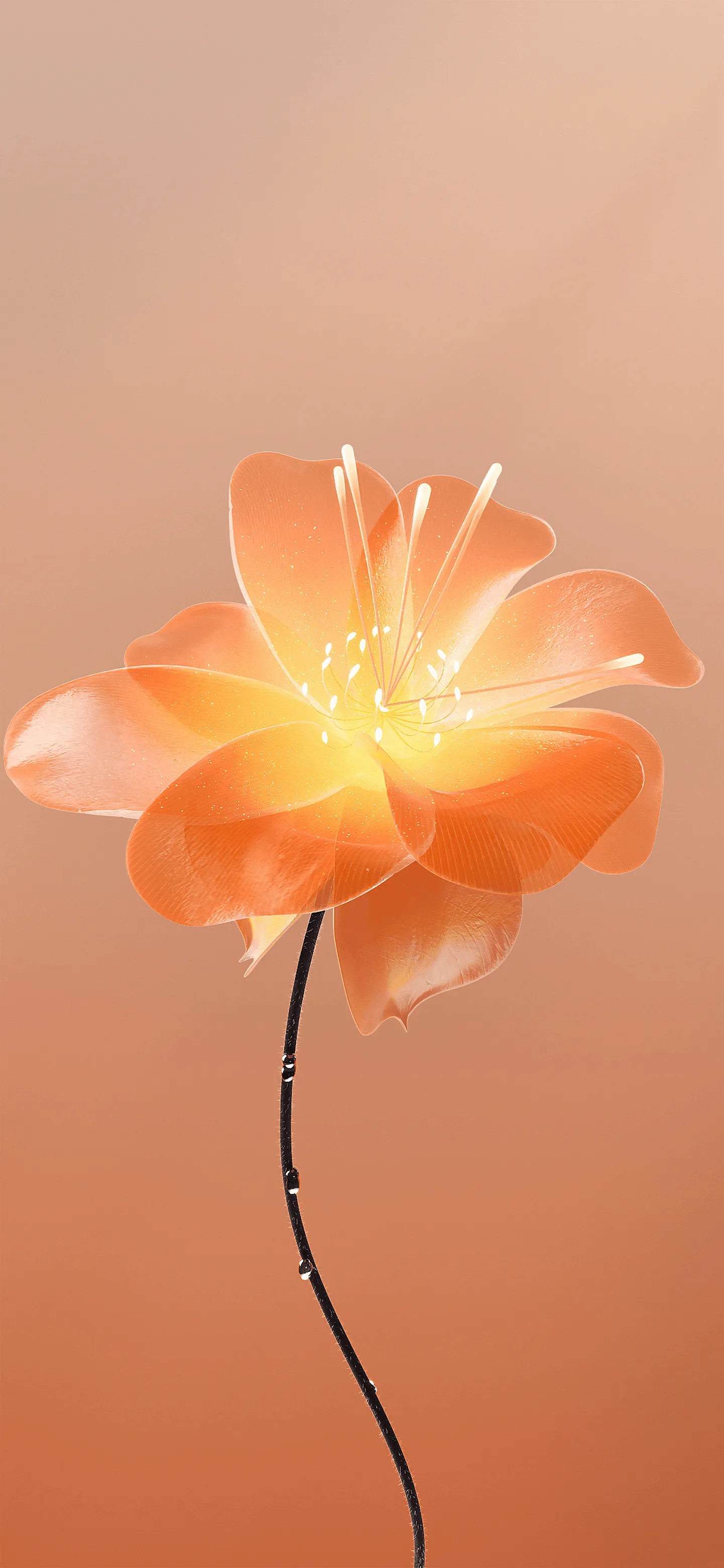 Orange Flower 4K Wallpaper Orange Flower 4K Wallpaper — 1440×3120 HD wallpaper