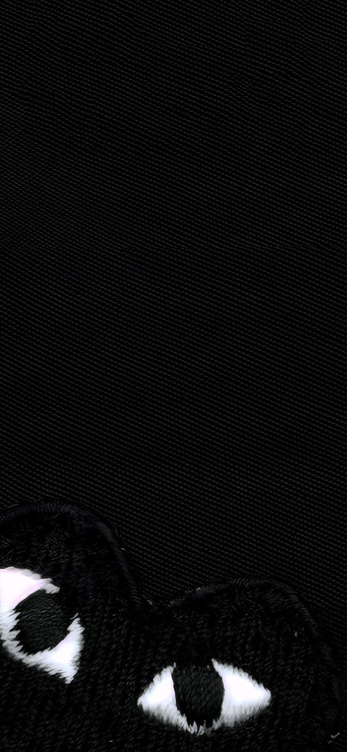 Commes de Garcons 4K Wallpaper Commes de Garcons 4K Wallpaper HD wallpaper