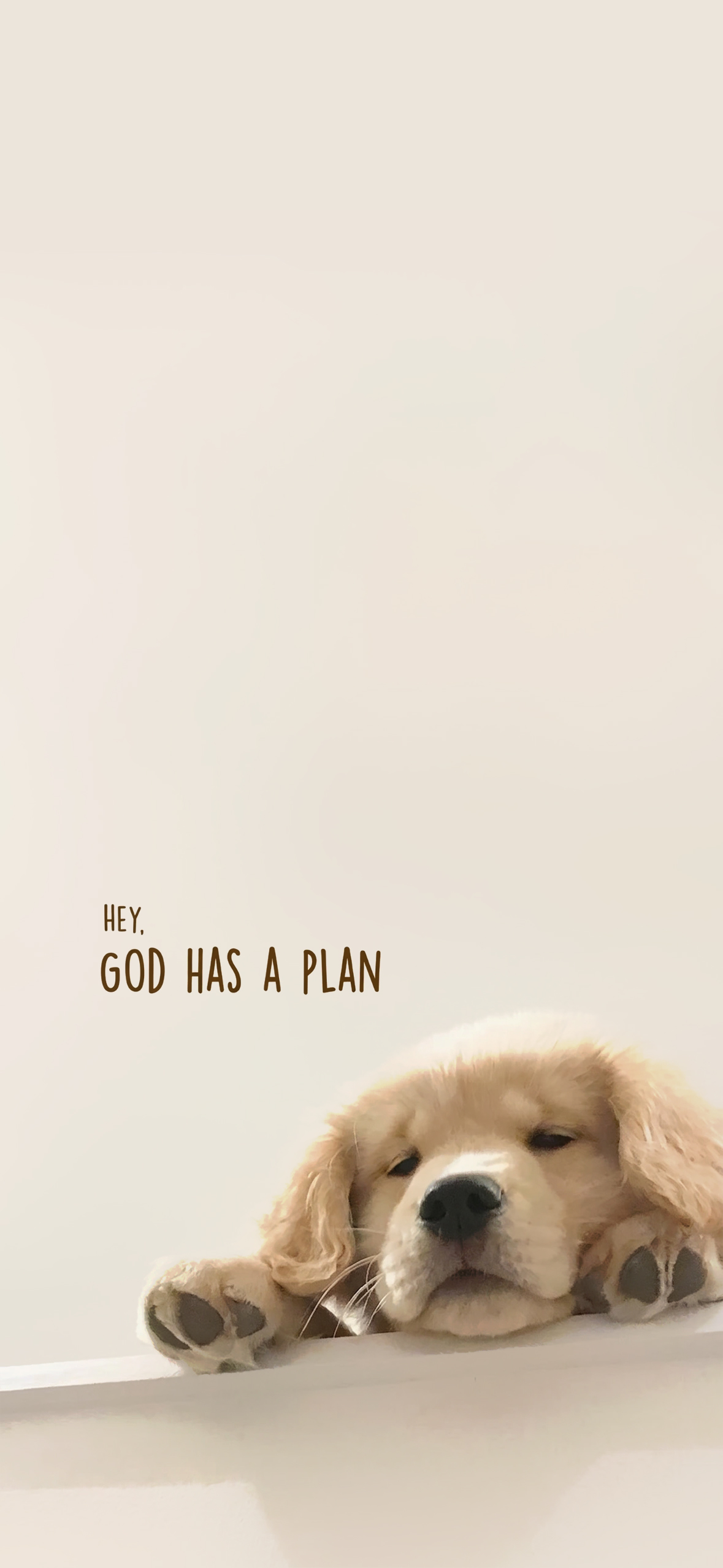 Sleepy Golden Puppy Wallpaper Sleepy Golden Puppy Wallpaper — 1179×2556 HD wallpaper