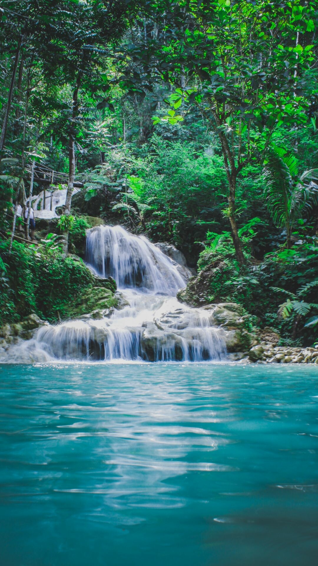 Tiered jungle waterfall, Turquoise plunge pool, Dense tropical foliage Tiered jungle waterfall, Turquoise plunge pool, Dense tropical foliage — 1080×1920 HD wallpaper