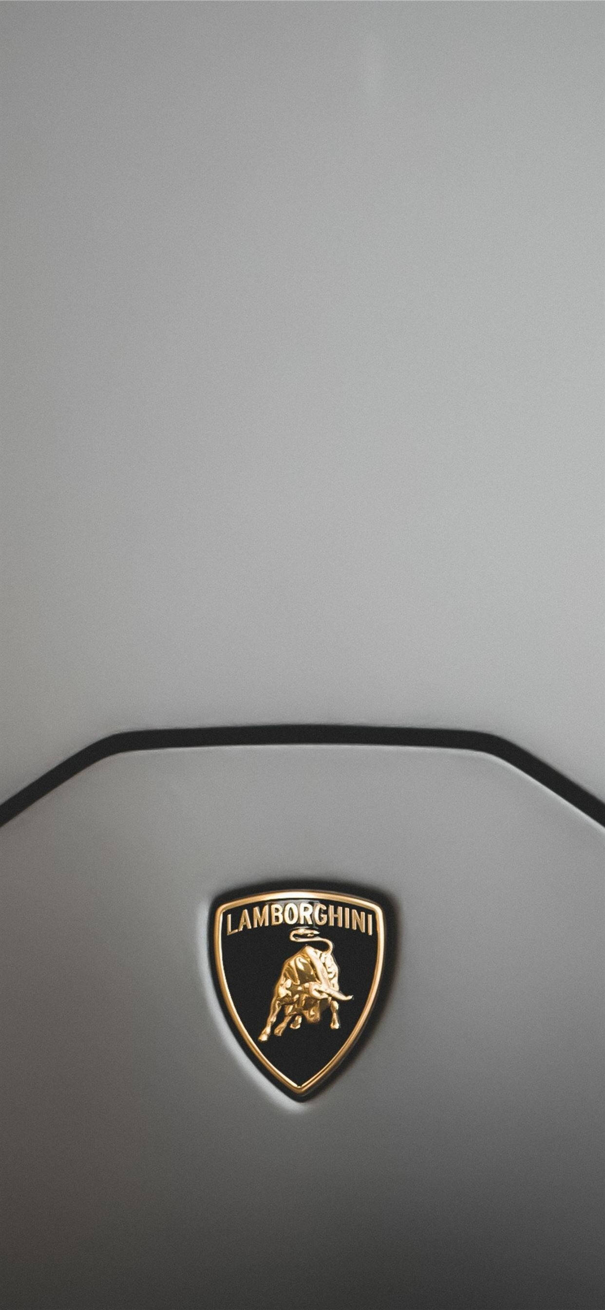 Gold Lamborghini bull badge, Grey hood close-up, Black shield emblem Gold Lamborghini bull badge, Grey hood close-up, Black shield emblem — 1242×2688 HD wallpaper