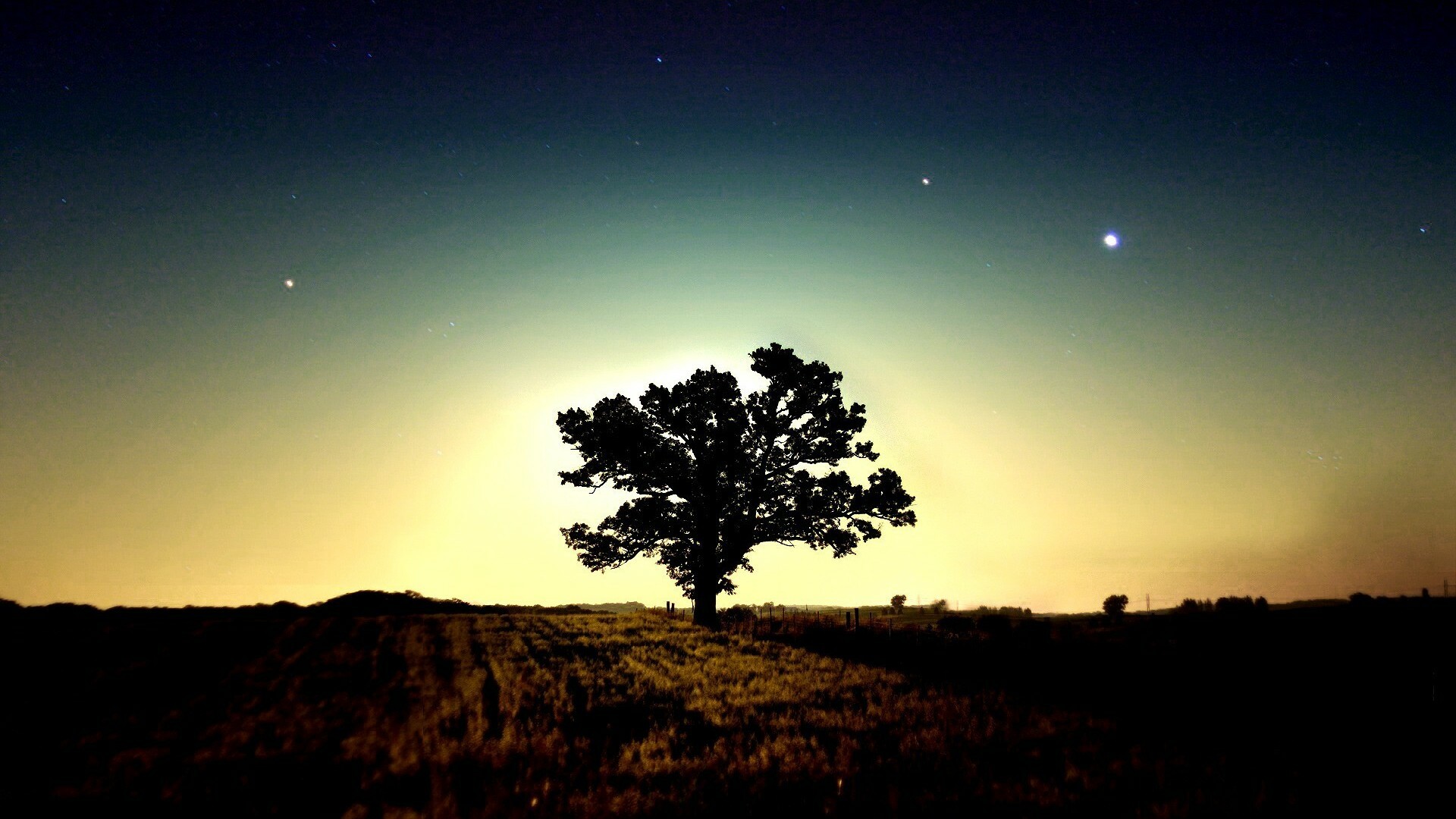 Lone tree silhouette, Starry night sky, Glowing horizon field Lone tree silhouette, Starry night sky, Glowing horizon field — 1920×1080 HD wallpaper