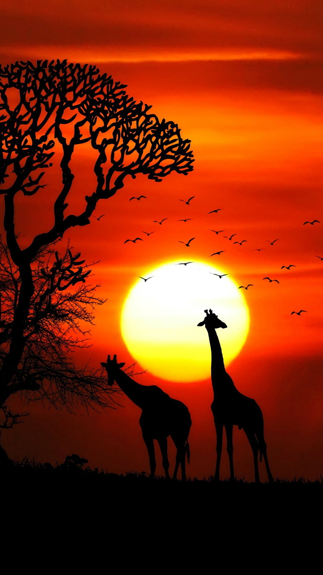 Giraffe silhouettes savanna, Acacia tree silhouette, African sunset orange sky, Birds flock flying Giraffe silhouettes savanna, Acacia tree silhouette, African sunset orange sky, Birds flock flying — 1080×1920 HD wallpaper