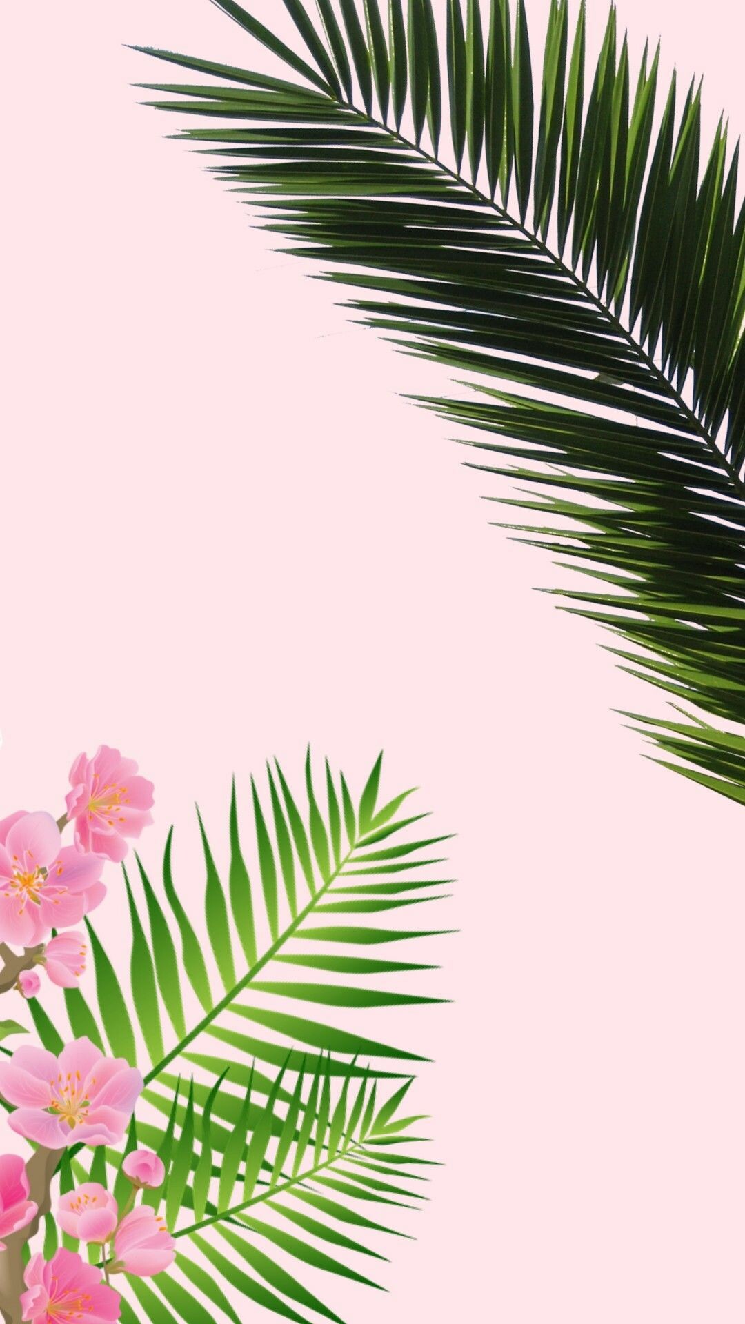 Green palm fronds, Pink cherry blossoms, Pastel pink background Green palm fronds, Pink cherry blossoms, Pastel pink background — 1080×1920 HD wallpaper