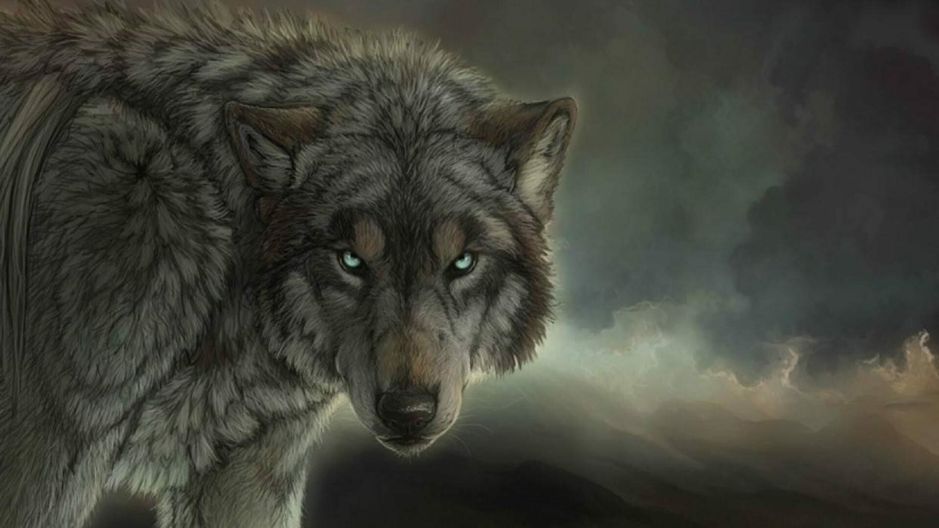Gray wolf portrait, Blue eyes, Stormy dark sky Gray wolf portrait, Blue eyes, Stormy dark sky — 1920×1080 HD wallpaper