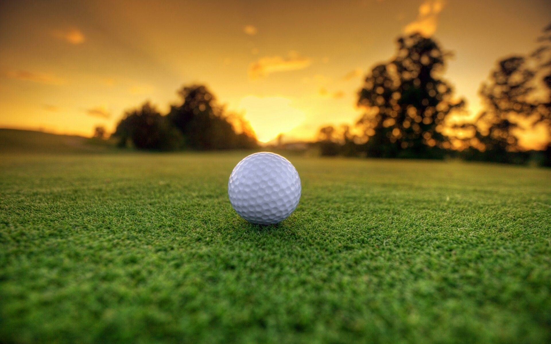 White golf ball, Manicured putting green, Sunset tree silhouettes White golf ball, Manicured putting green, Sunset tree silhouettes — 1920×1200 HD wallpaper