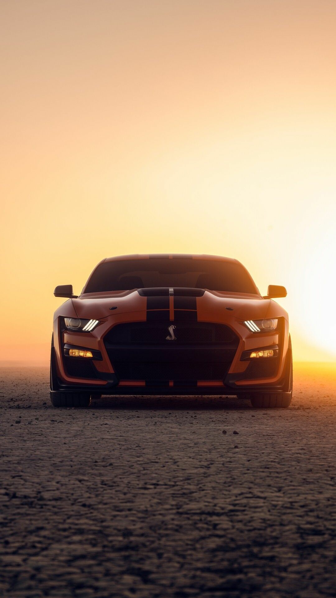 Ford Mustang Shelby GT500, Desert sunset horizon, Orange black racing stripes Ford Mustang Shelby GT500, Desert sunset horizon, Orange black racing stripes — 1080×1920 HD wallpaper
