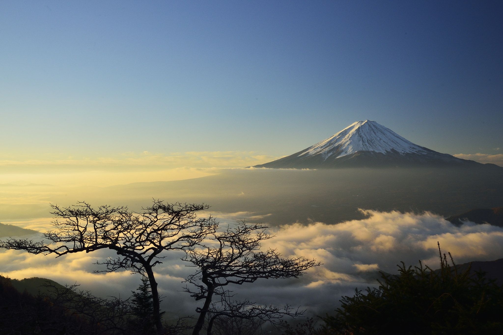 Mount Fuji snowcapped peak, Bare tree silhouette, Sea of clouds Mount Fuji snowcapped peak, Bare tree silhouette, Sea of clouds — 2048×1365 HD wallpaper